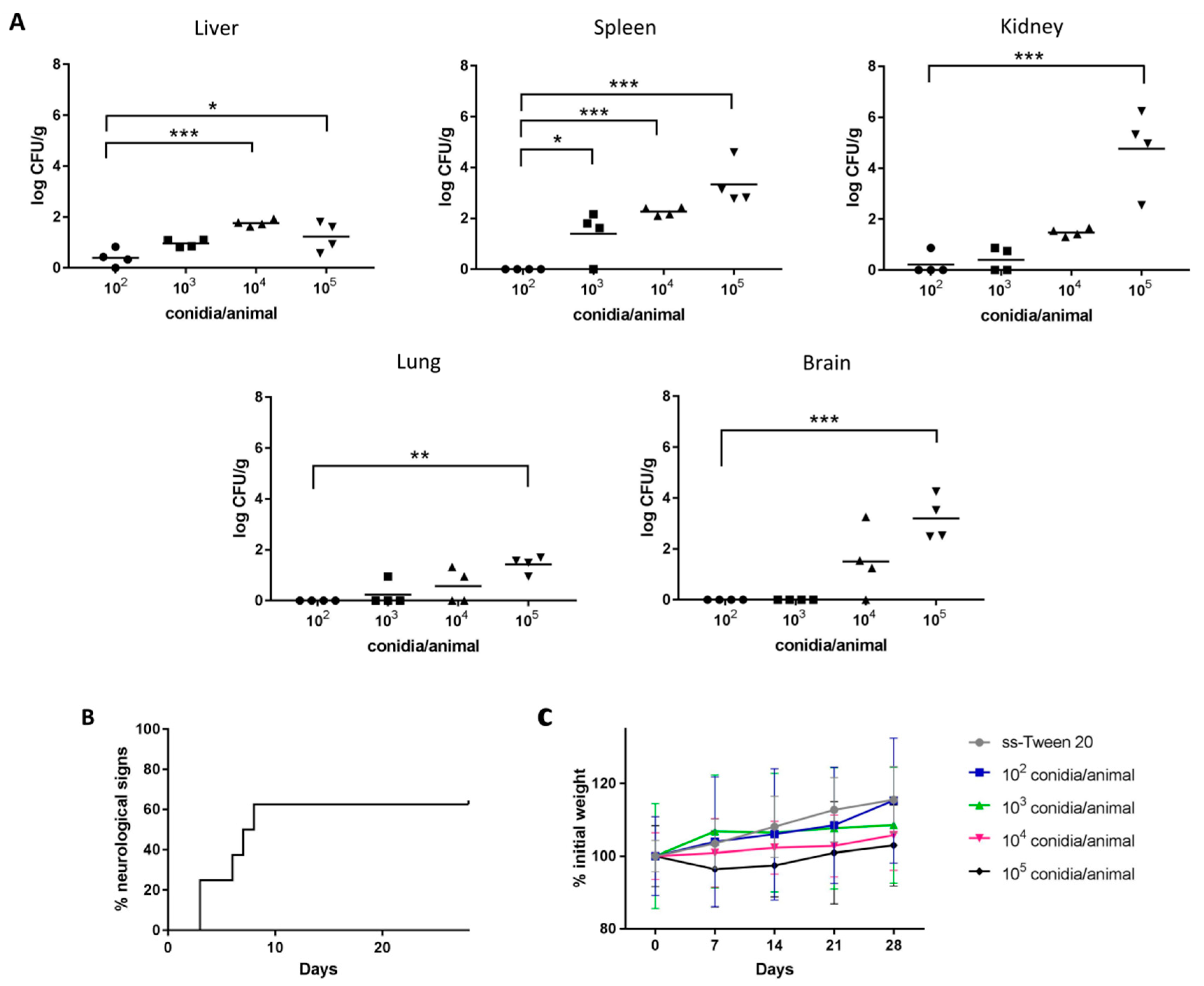 Vaccines Free Full Text Study of Humoral Responses against