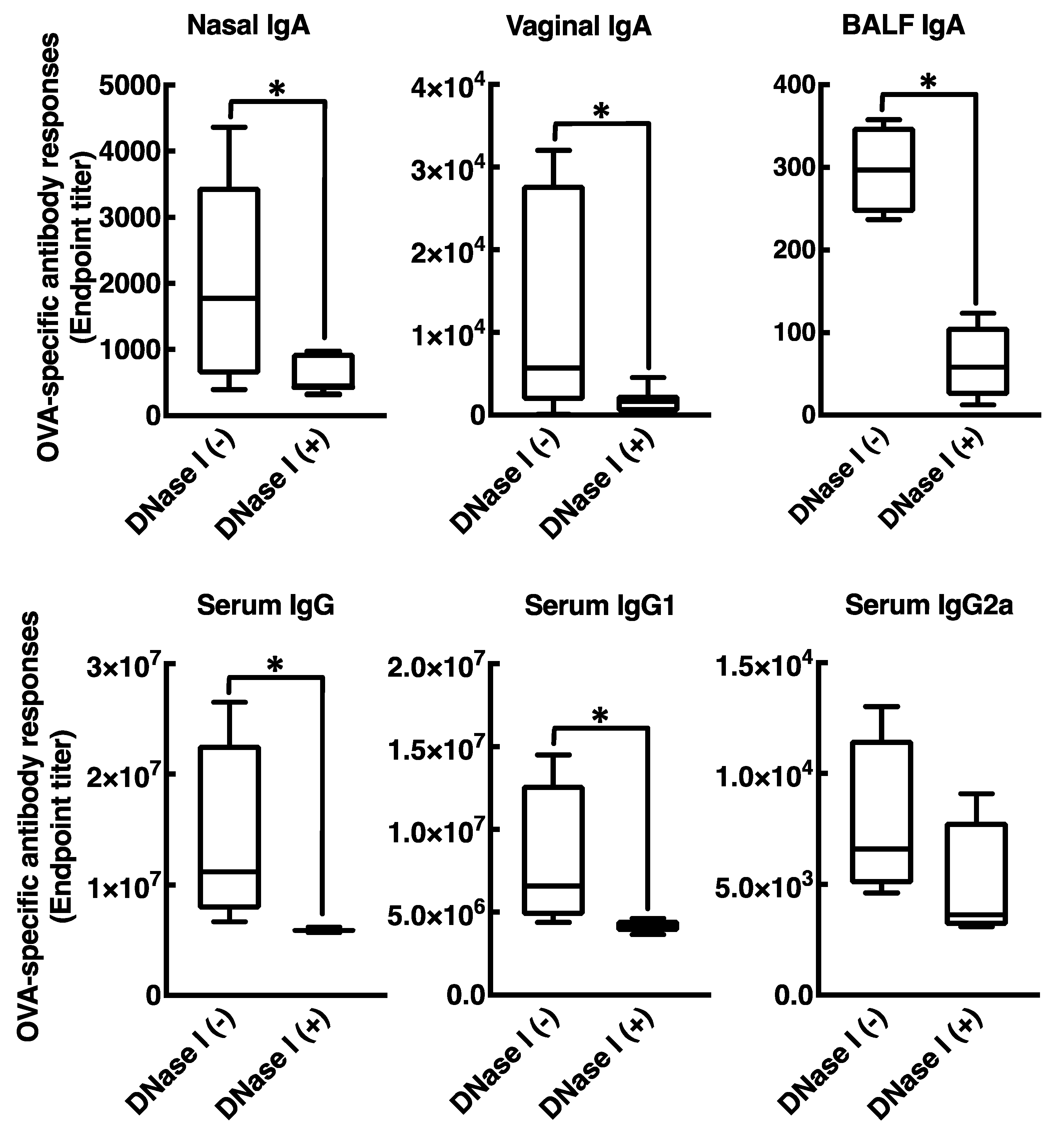 Vaccines 08 00008 g006