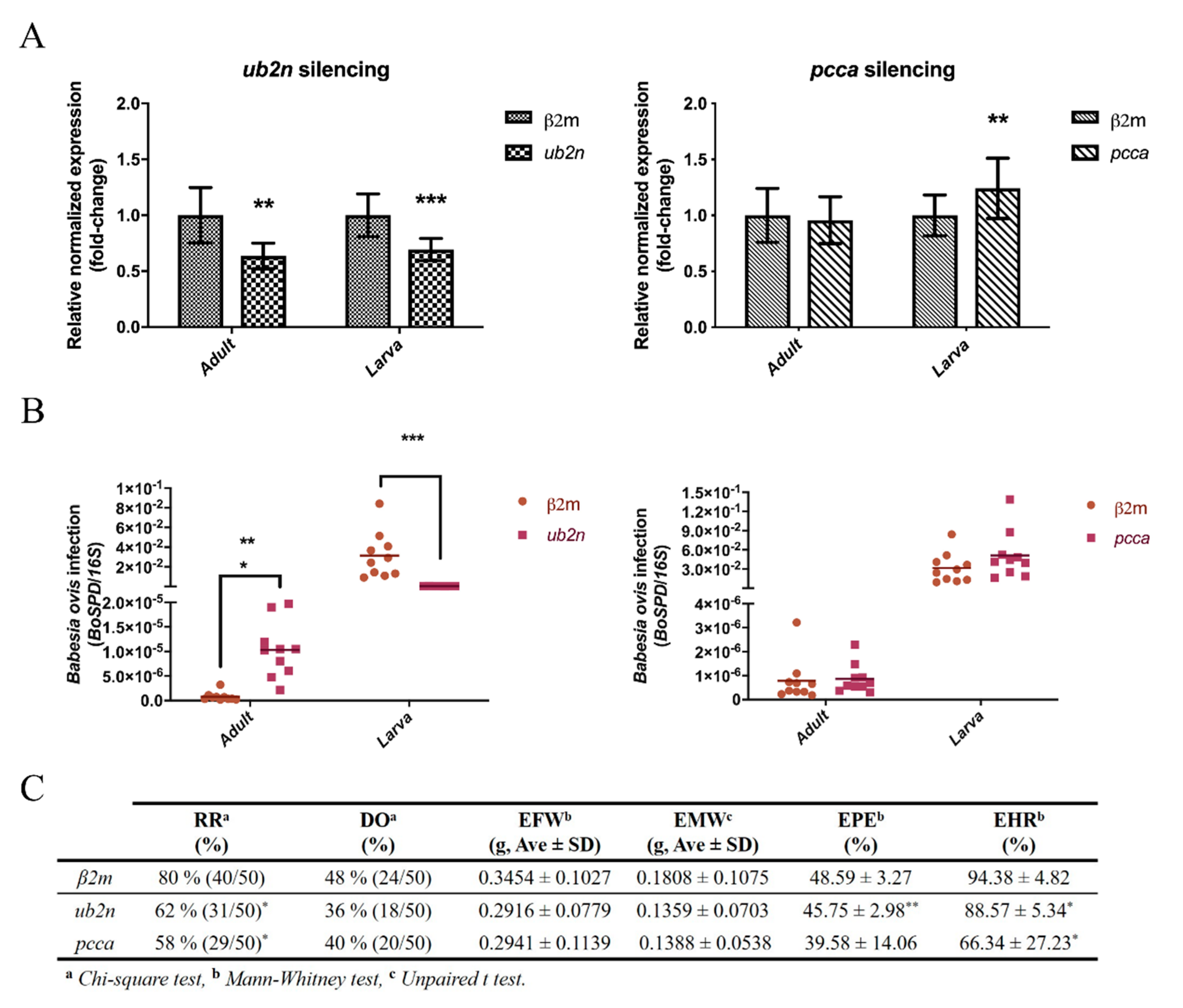 Vaccines Free Full Text Quantitative Proteomics Identifies Metabolic Pathways Affected By Babesia Infection And Blood Feeding In The Sialoproteome Of The Vector Rhipicephalus Bursa Html