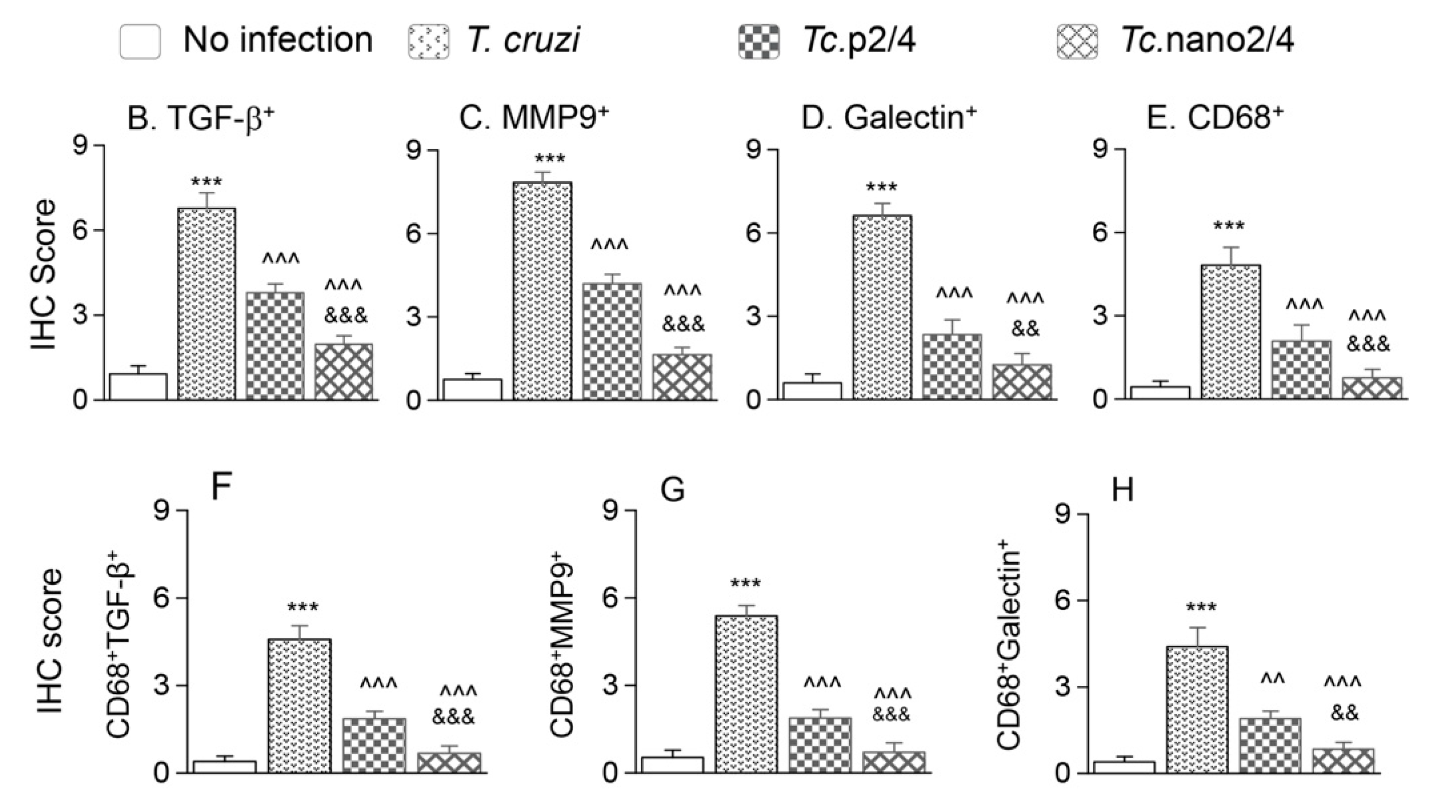 Vaccines 08 00096 g006b Vaccines 08 00096 g006b
