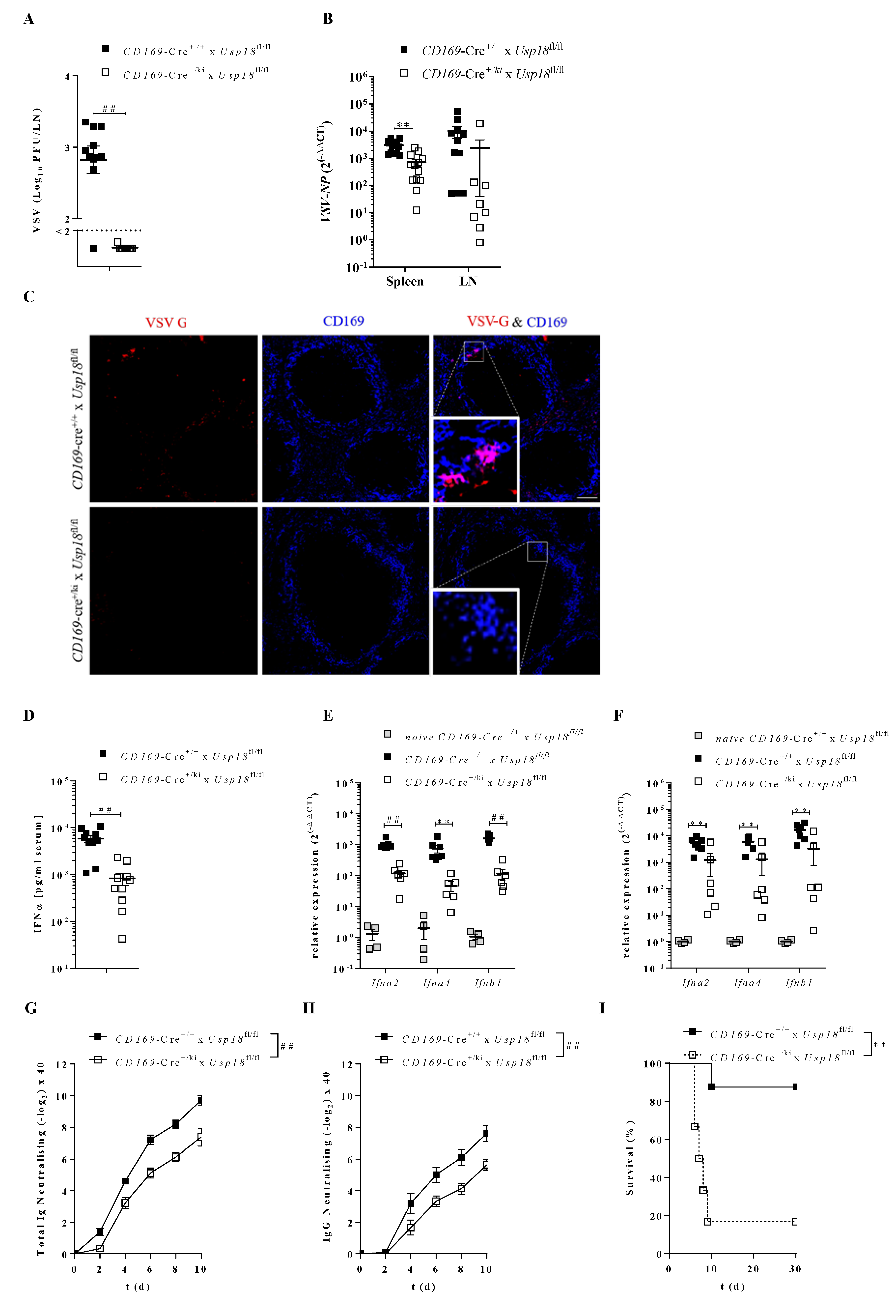 Vaccines Free Full Text Usp18 Expression In Cd169 Macrophages Is Important For Strong Immune Response After Vaccination With Vsv Ebov Html