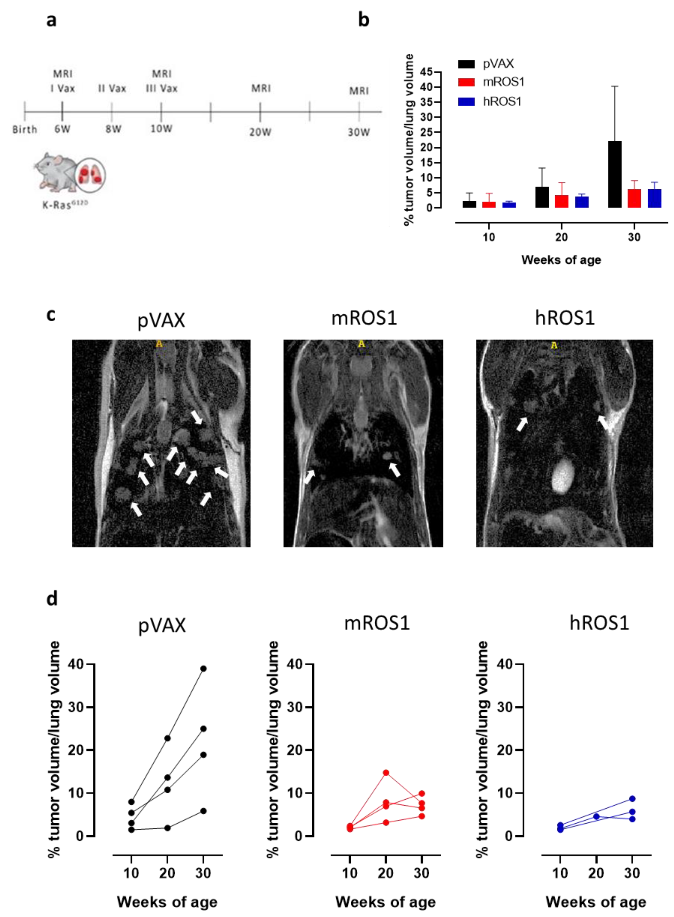 Vaccines 08 00166 g007