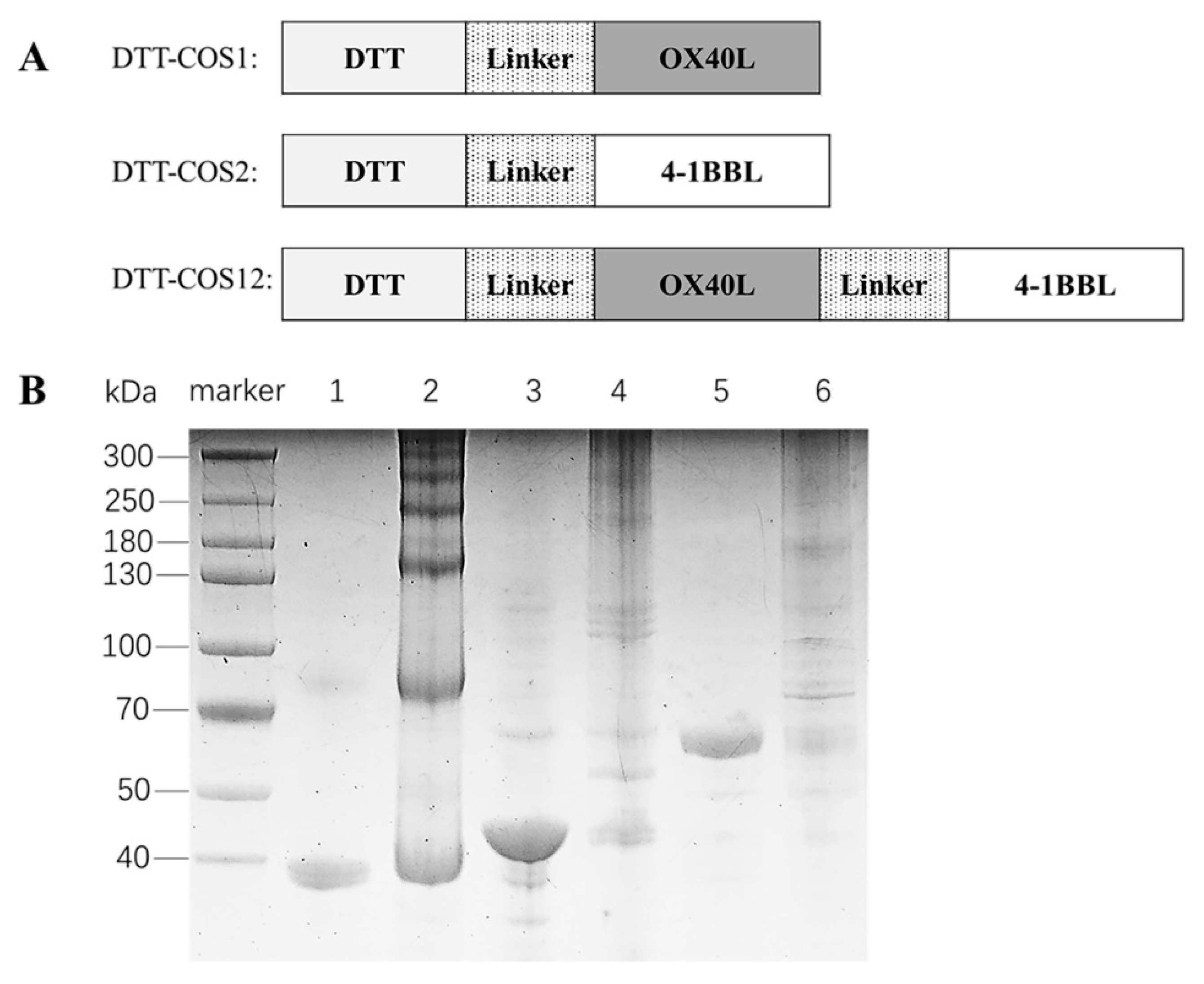 https://www.mdpi.com/vaccines/vaccines-08-00223/article_deploy/html/images/vaccines-08-00223-g001.png