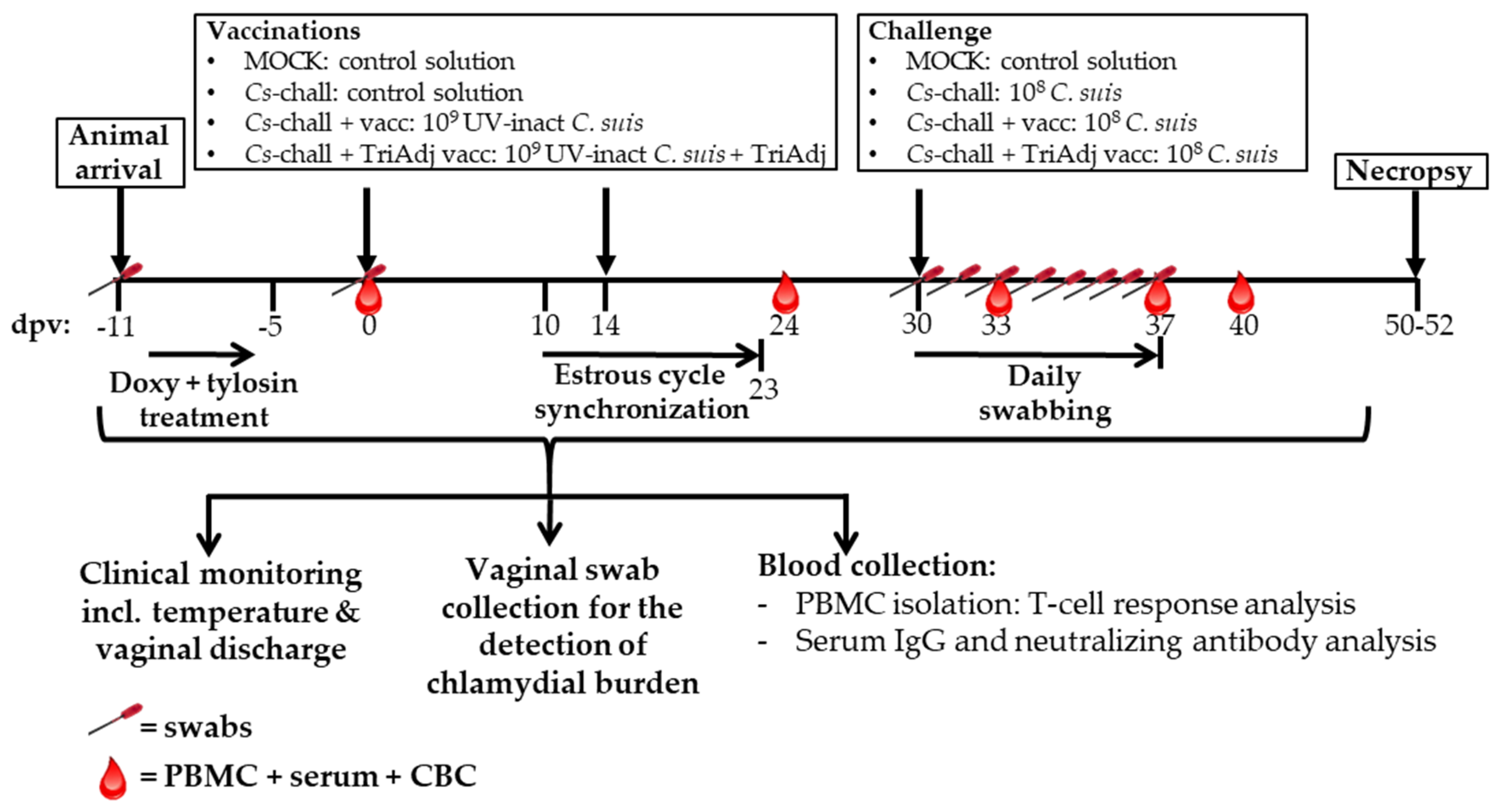 Vaccines 08 00353 g002