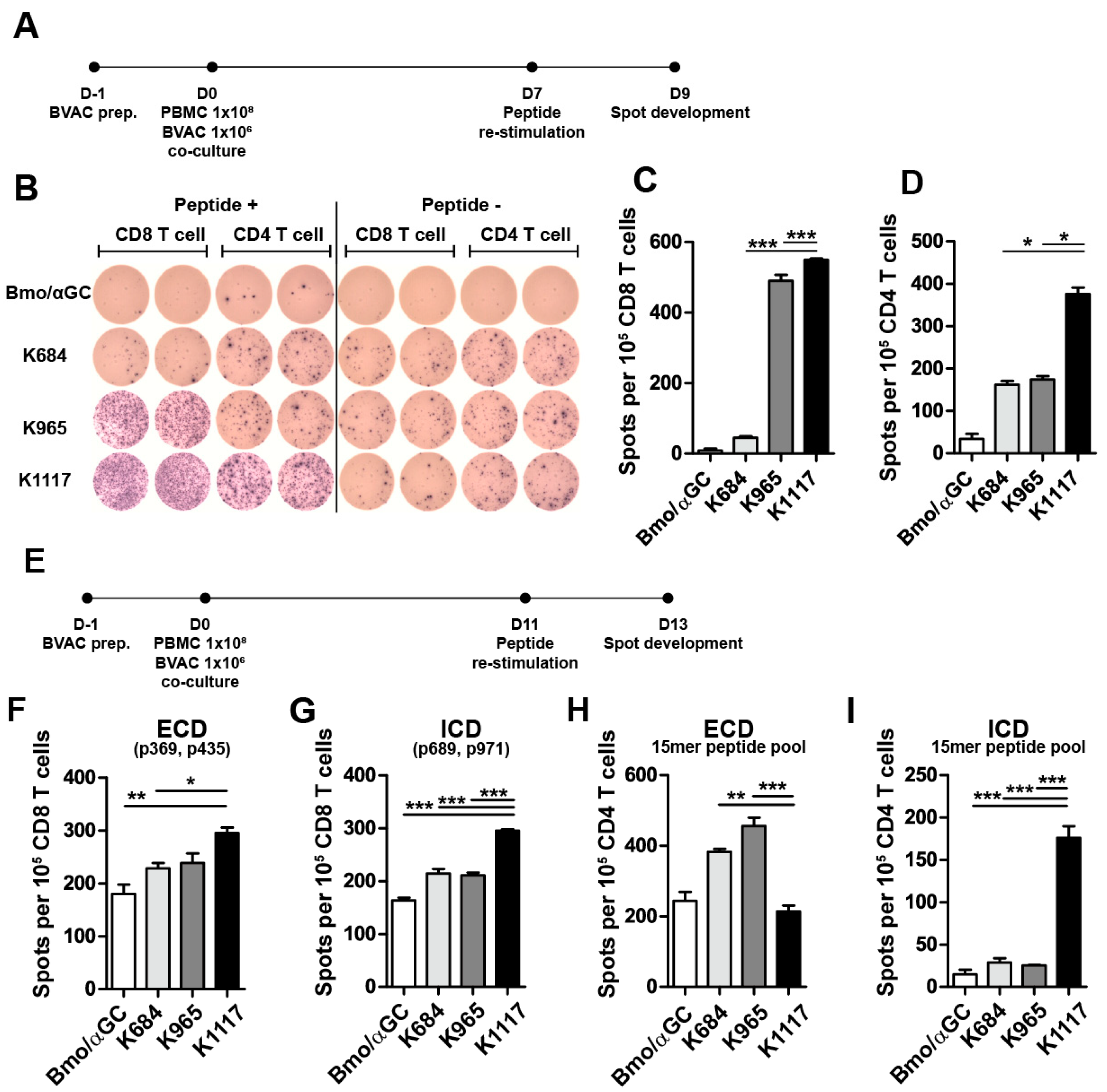 Vaccines 08 00403 g005 Vaccines 08 00403 g005