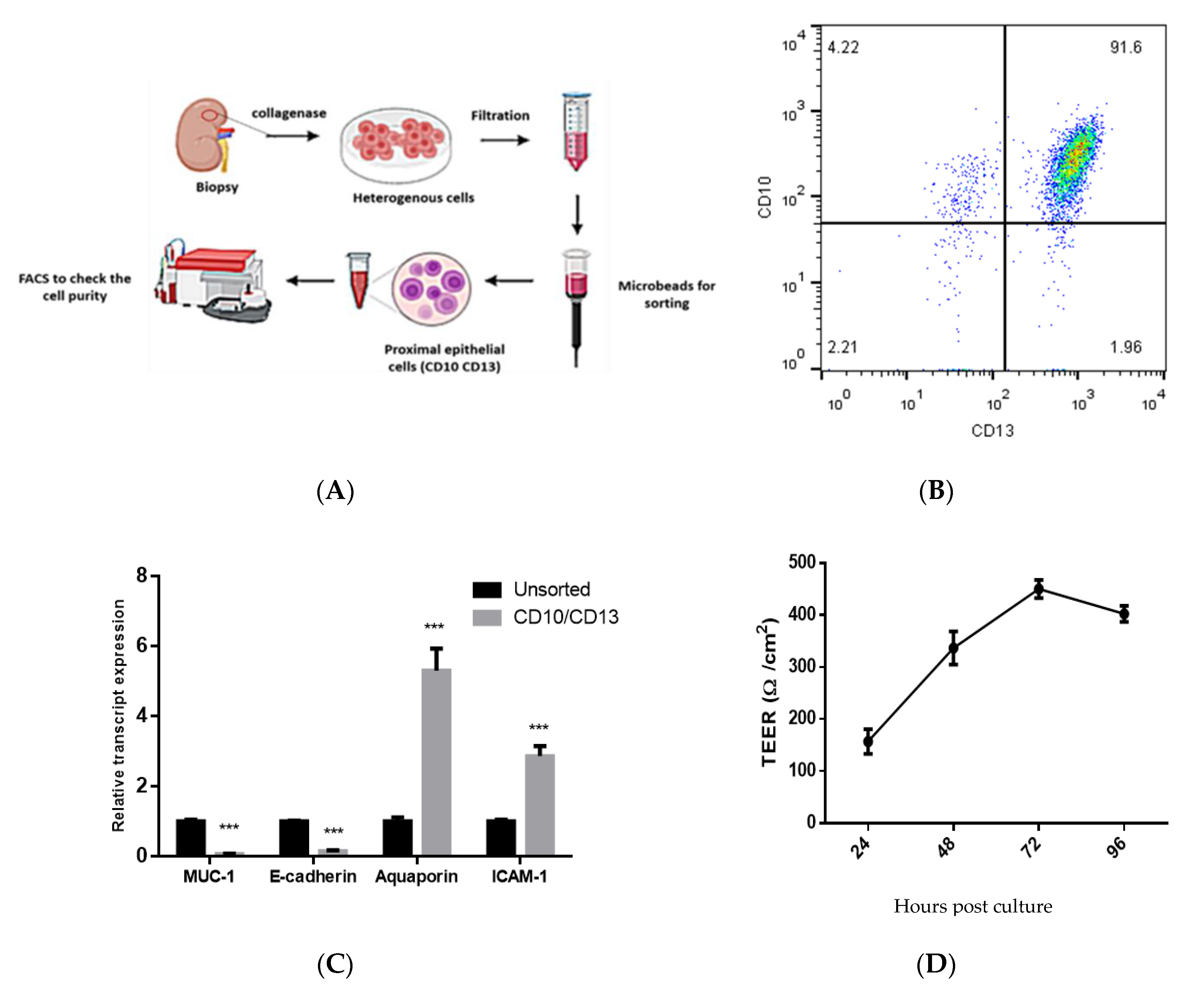 Vaccines 08 00454 g001