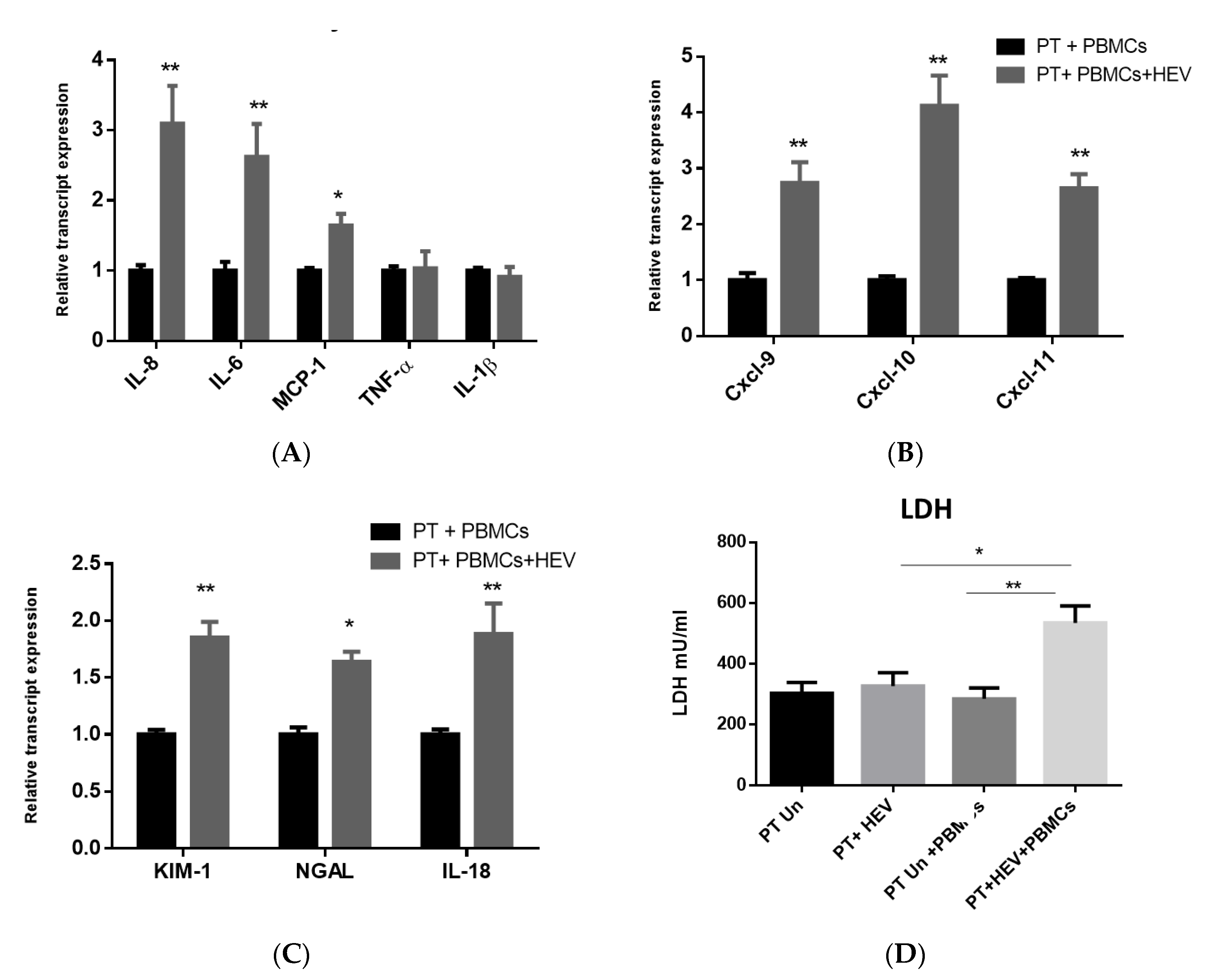 Vaccines 08 00454 g004