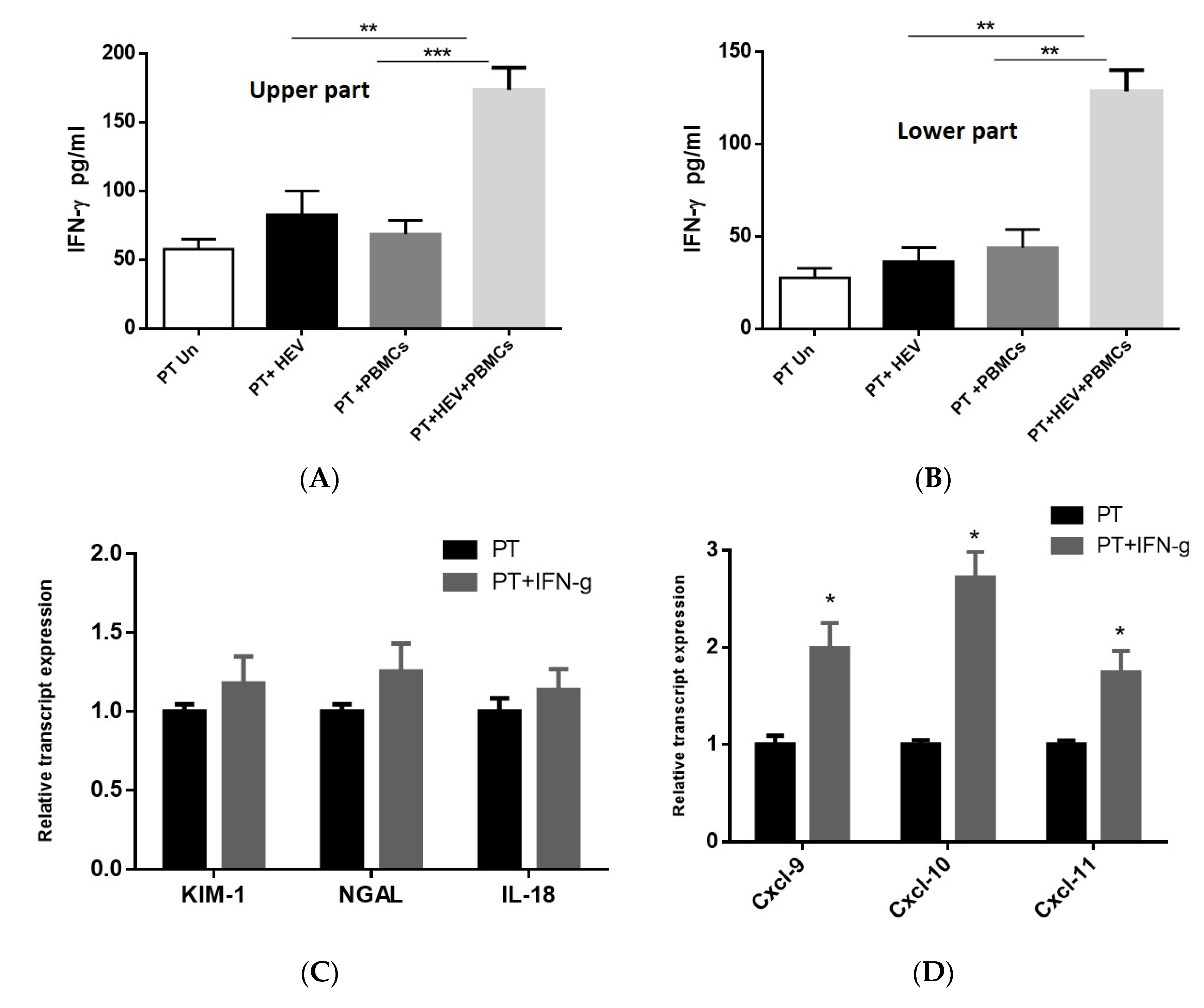 Vaccines 08 00454 g005