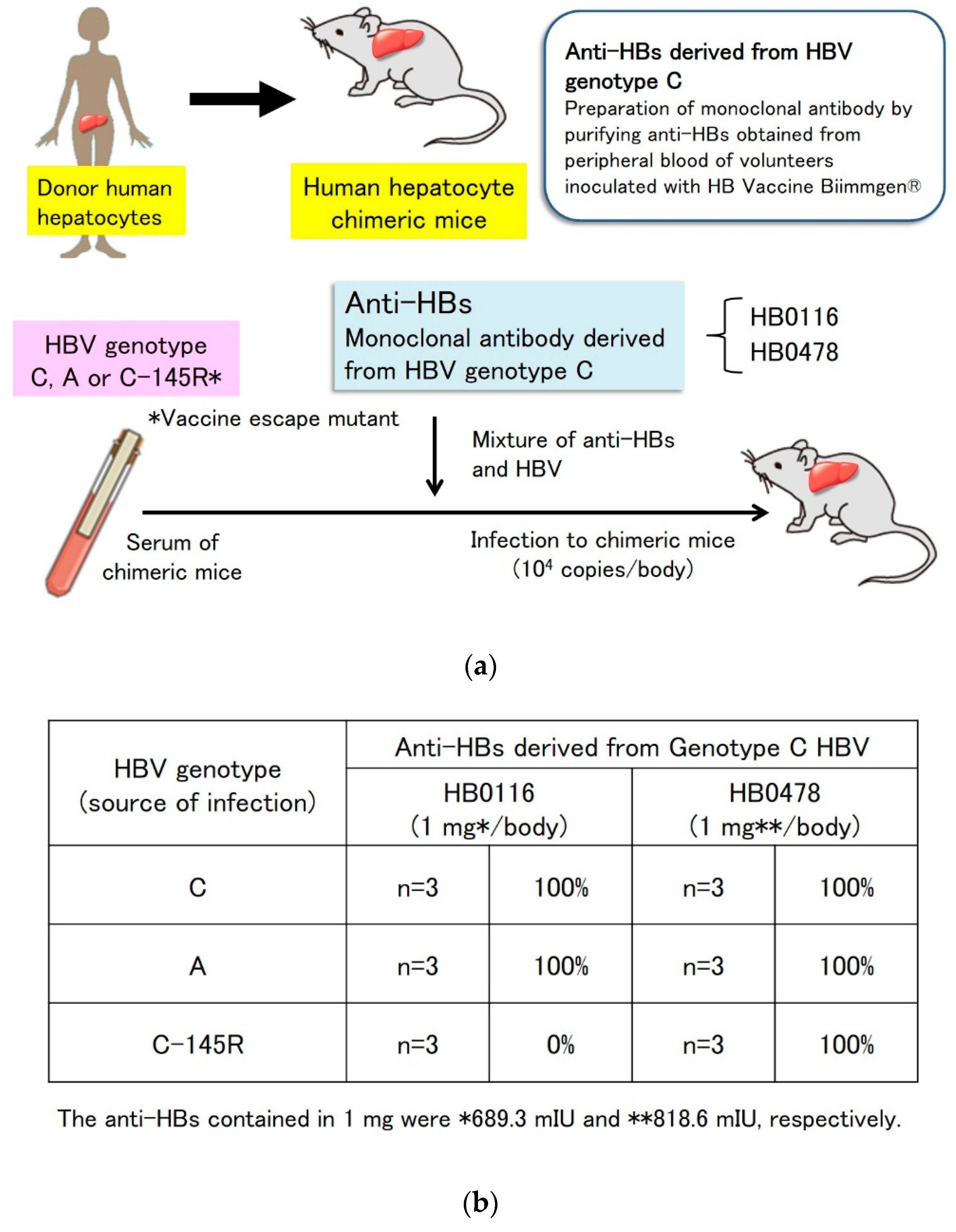 Vaccines | Free Full-Text | Cross-Protection of Hepatitis B Vaccination  among Different Genotypes | HTML
