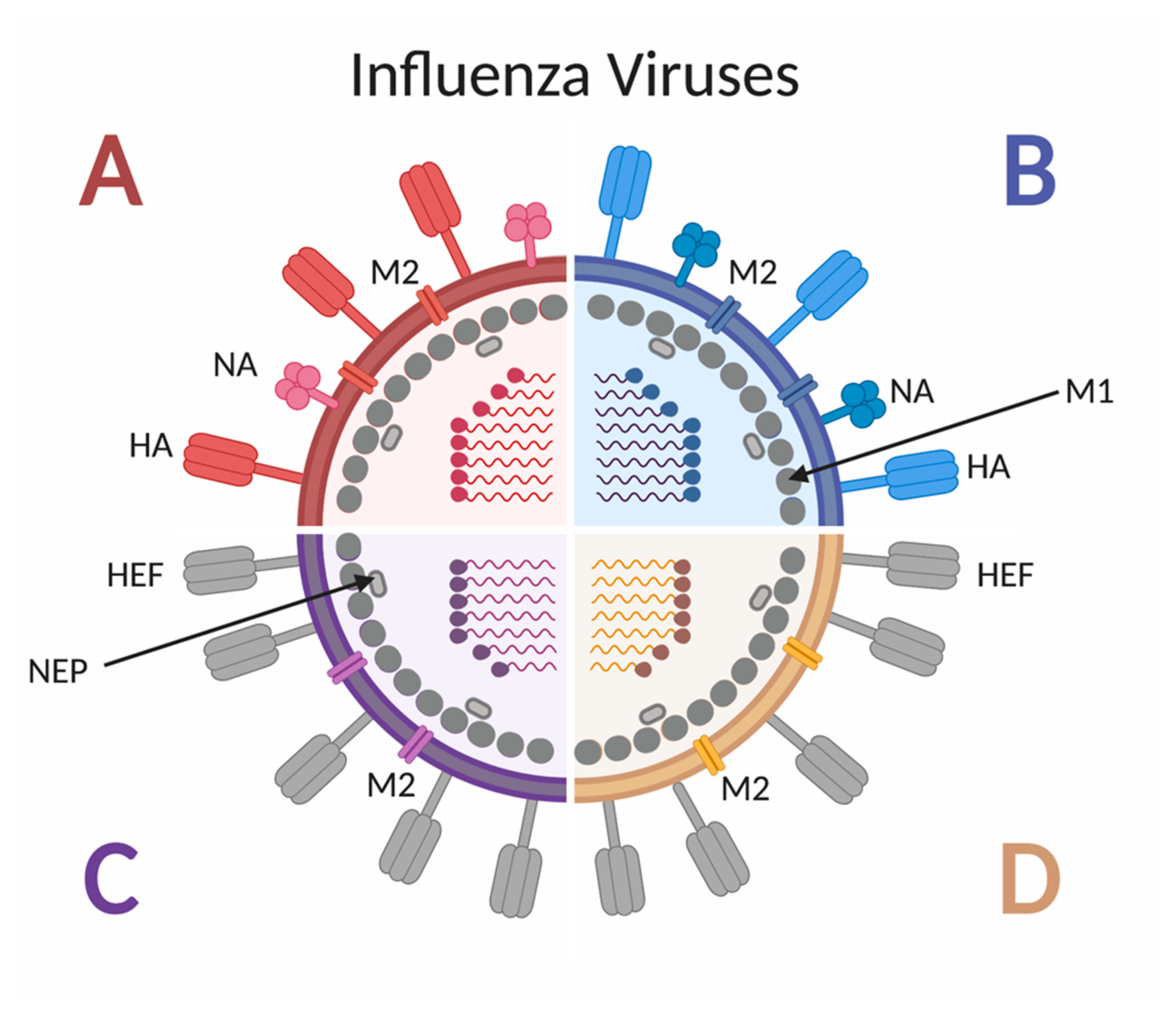 Vaccines Free FullText The Power of First Impressions Can