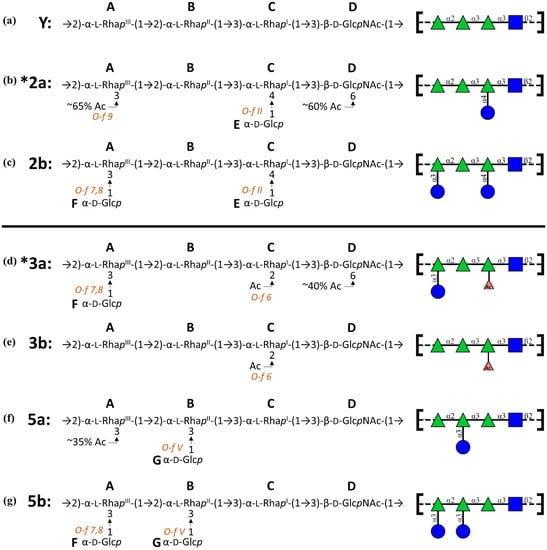 Vaccines Free Full Text Molecular Modeling Of The Shigella Flexneri Serogroup 3 And 5 O Antigens And Conformational Relationships For A Vaccine Containing Serotypes 2a And 3a Html
