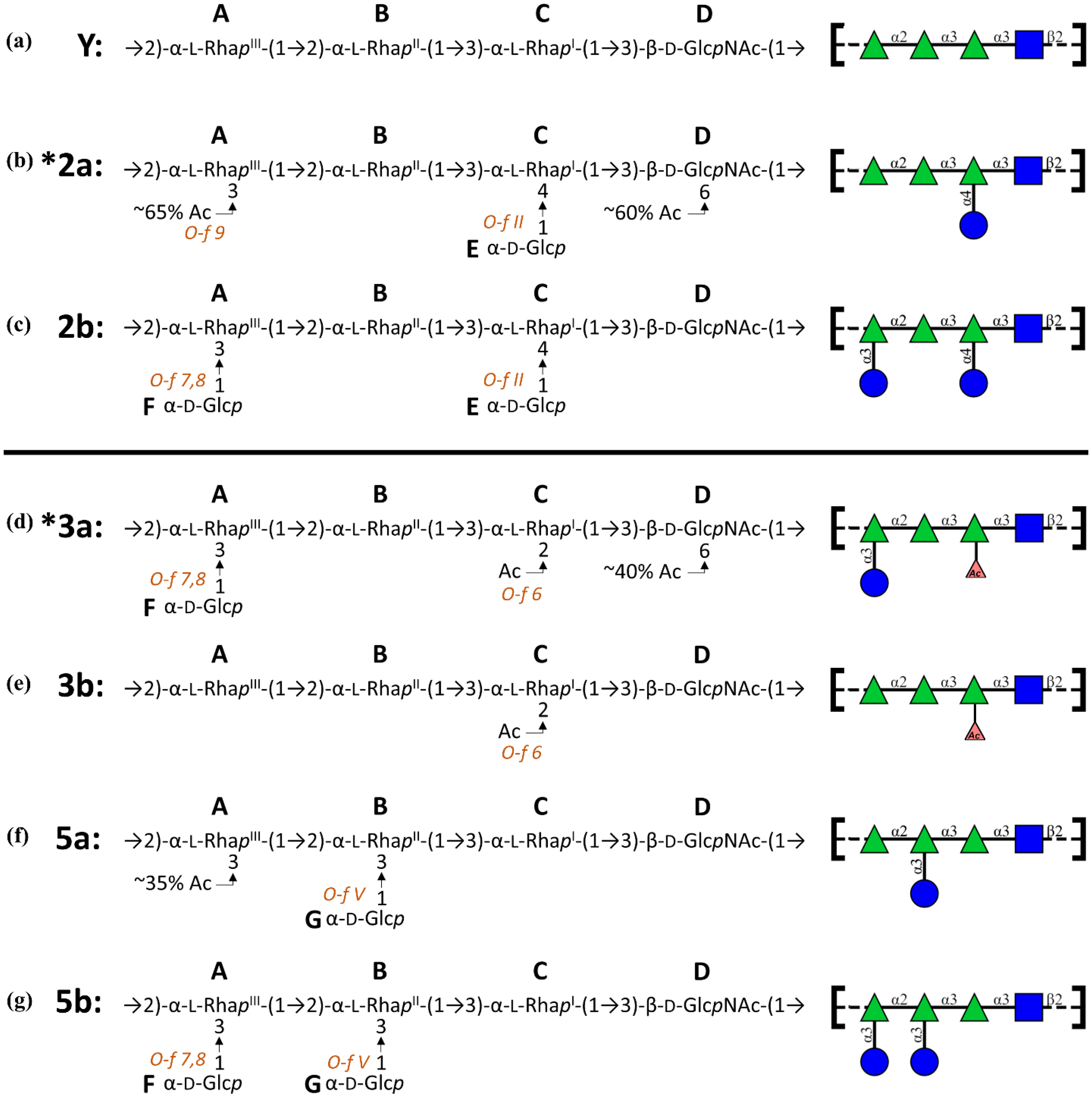 Vaccines Free Full Text Molecular Modeling Of The Shigella Flexneri Serogroup 3 And 5 O Antigens And Conformational Relationships For A Vaccine Containing Serotypes 2a And 3a Html