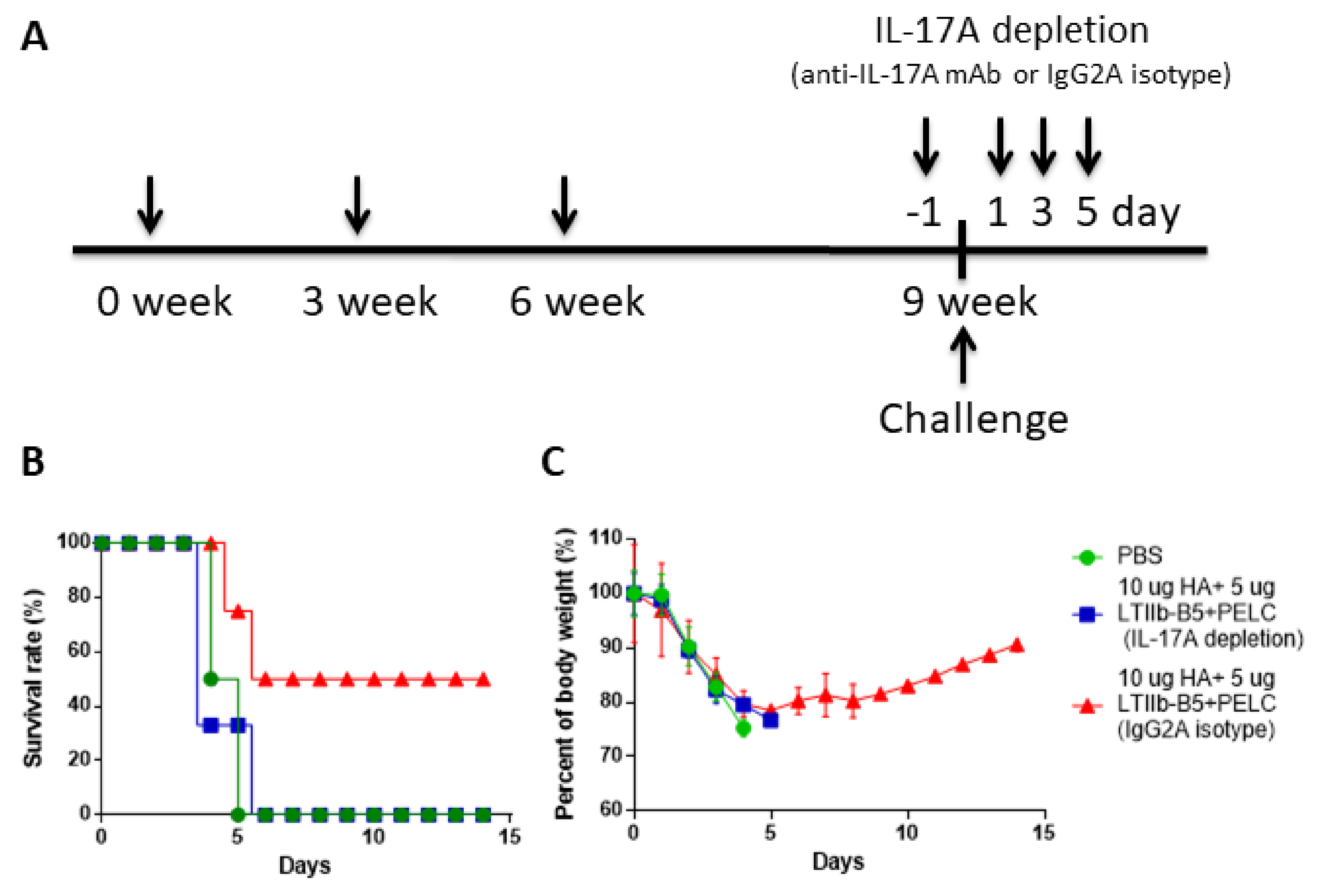 Vaccines 08 00710 g007