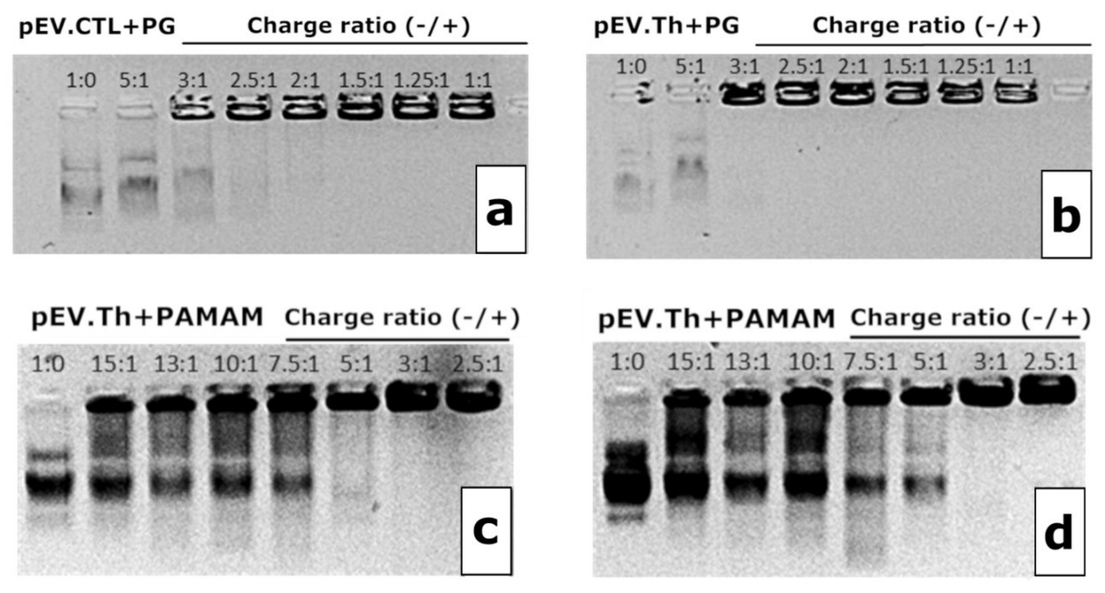 Vaccines 08 00718 g004 Vaccines 08 00718 g004