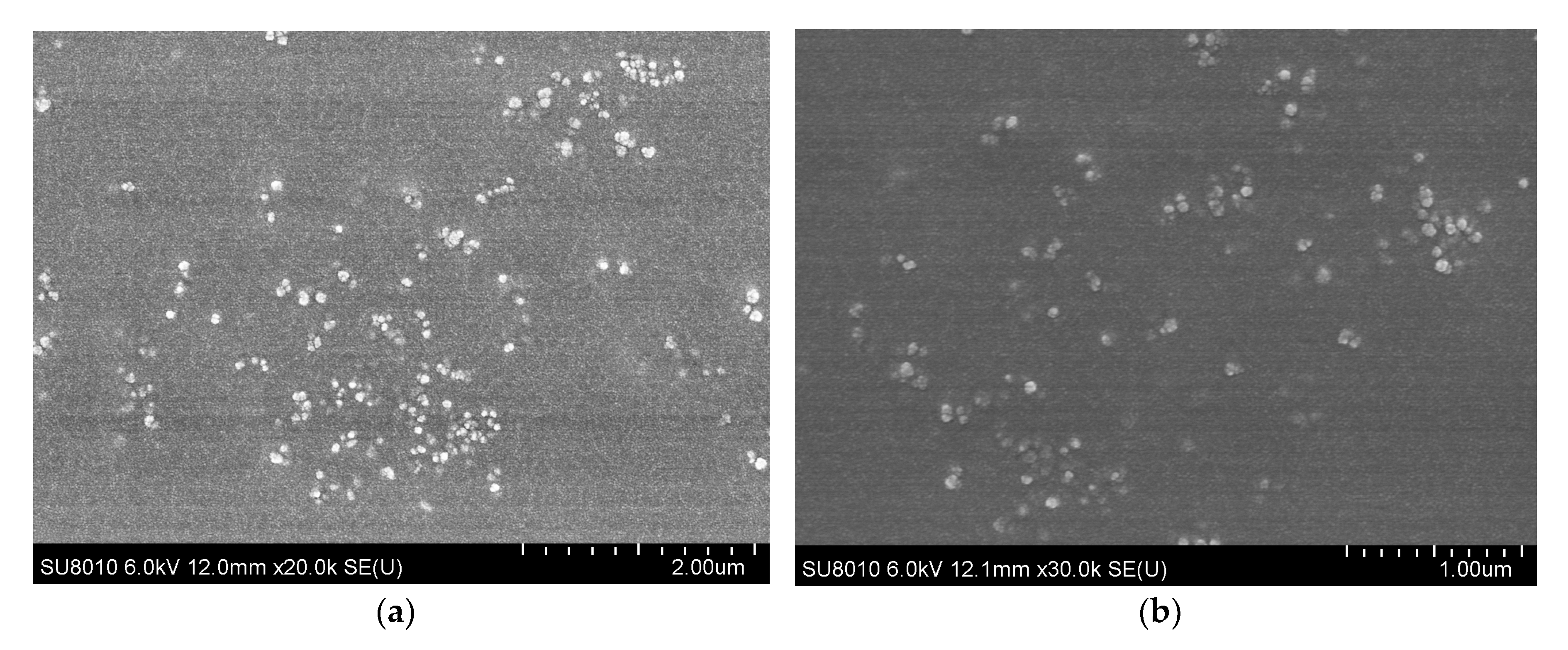 Vaccines 08 00731 g007