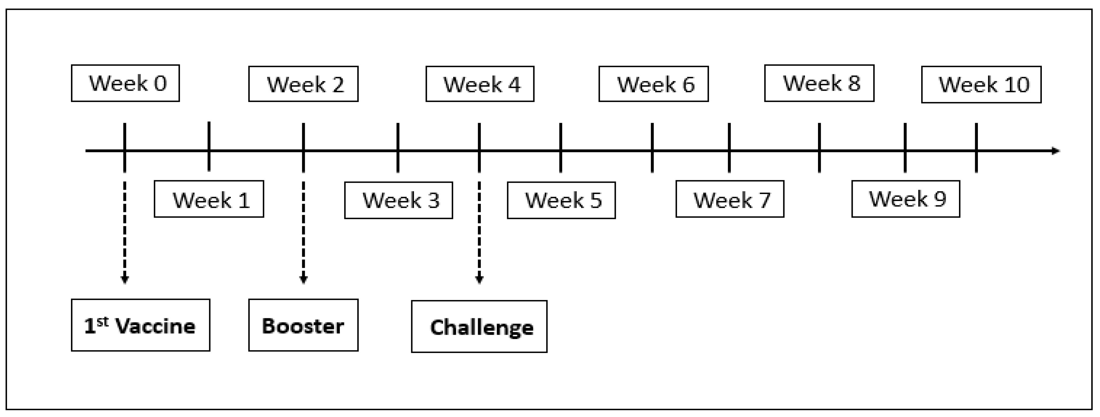Vaccines 08 00734 g001