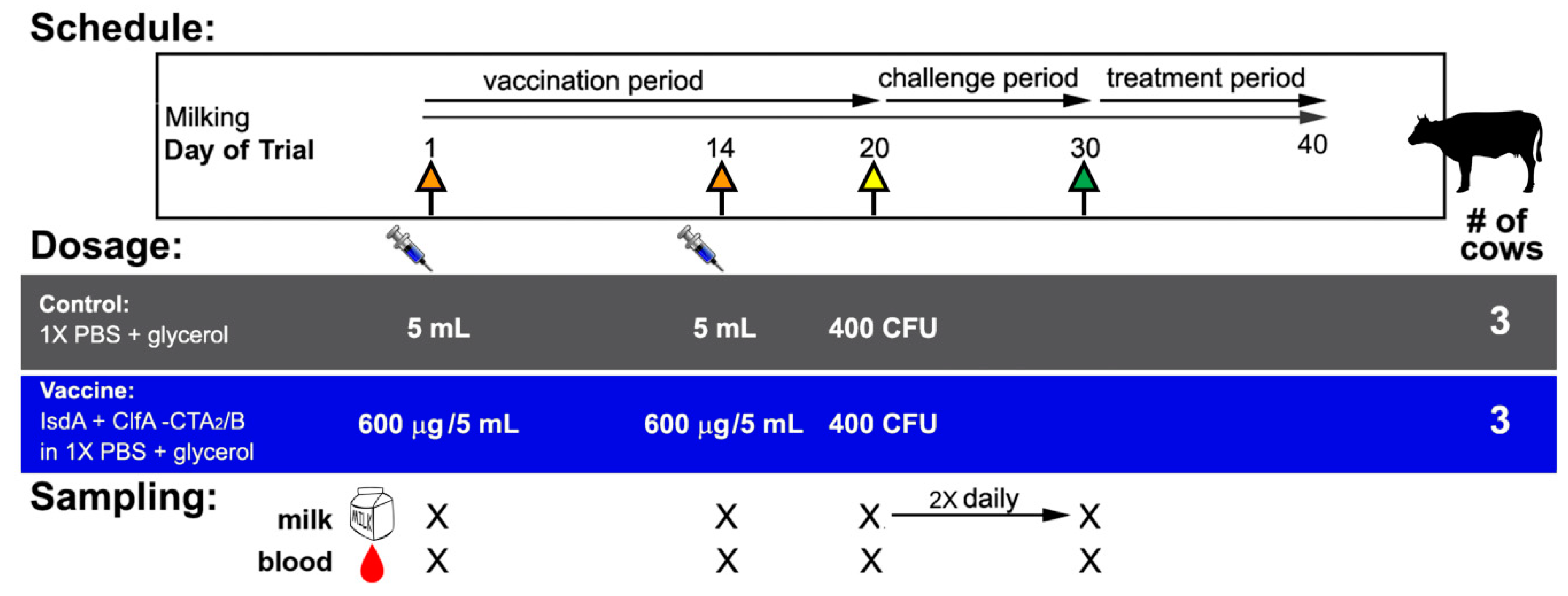 Vaccines 09 00006 g002
