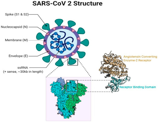 37 Senior Activity Ideas & Resource Guide For Coronavirus - S&S Blog