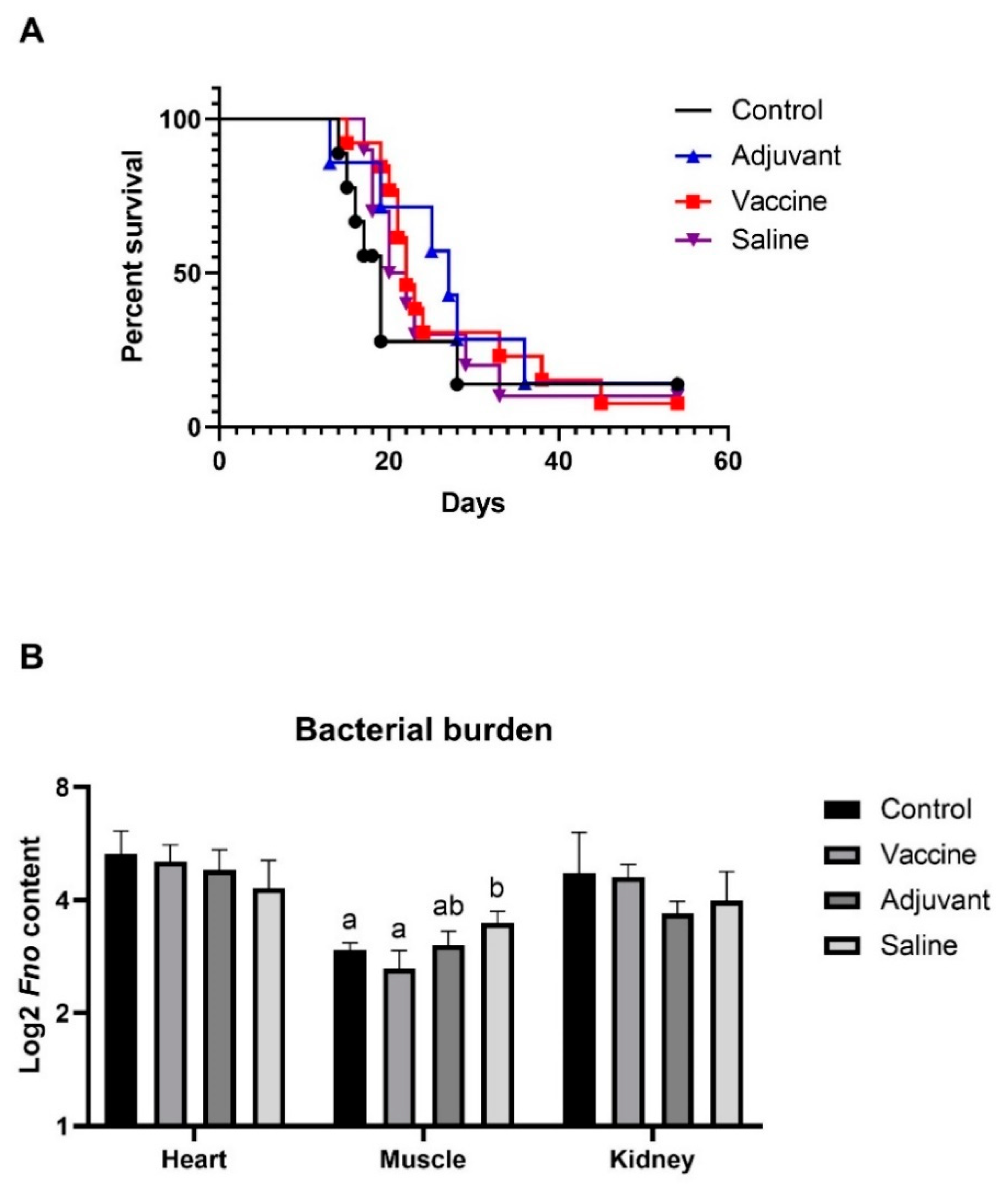 Vaccines 09 00034 g002