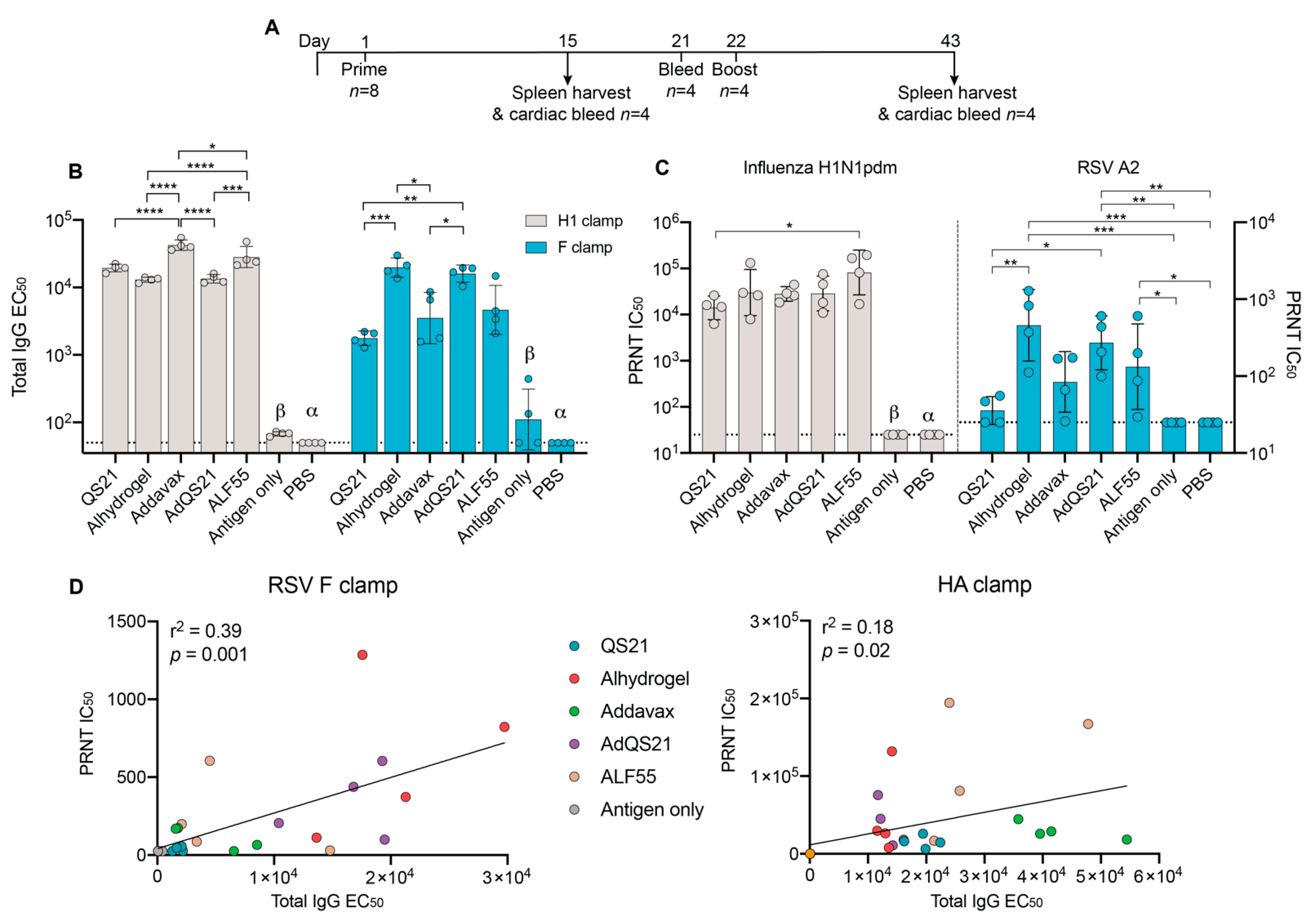 Vaccines | Free Full-Text | Adjuvant Selection for Influenza and RSV ...