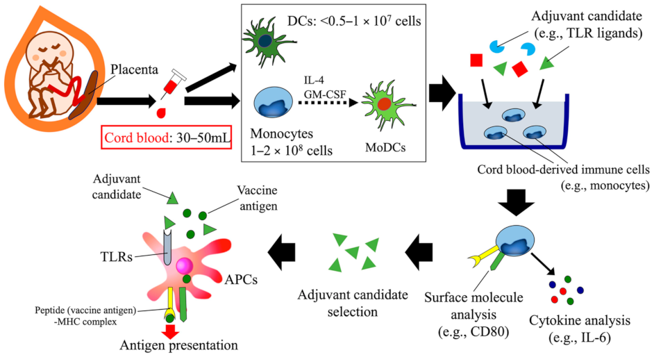 Vaccines 09 00095 g002