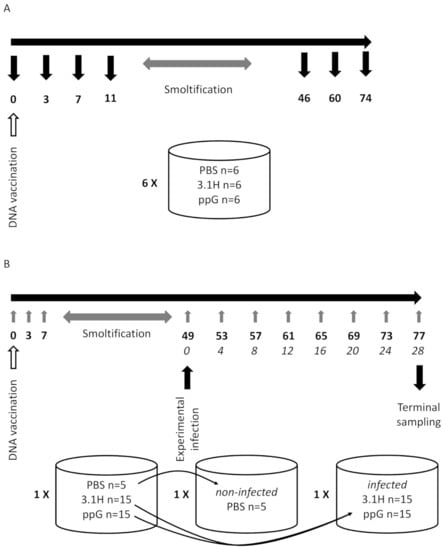 Long-Term Programming of Antigen-Specific Immunity from Gene Expression  Signatures in the PBMC of Rhesus Macaques Immunized with an SIV DNA Vaccine