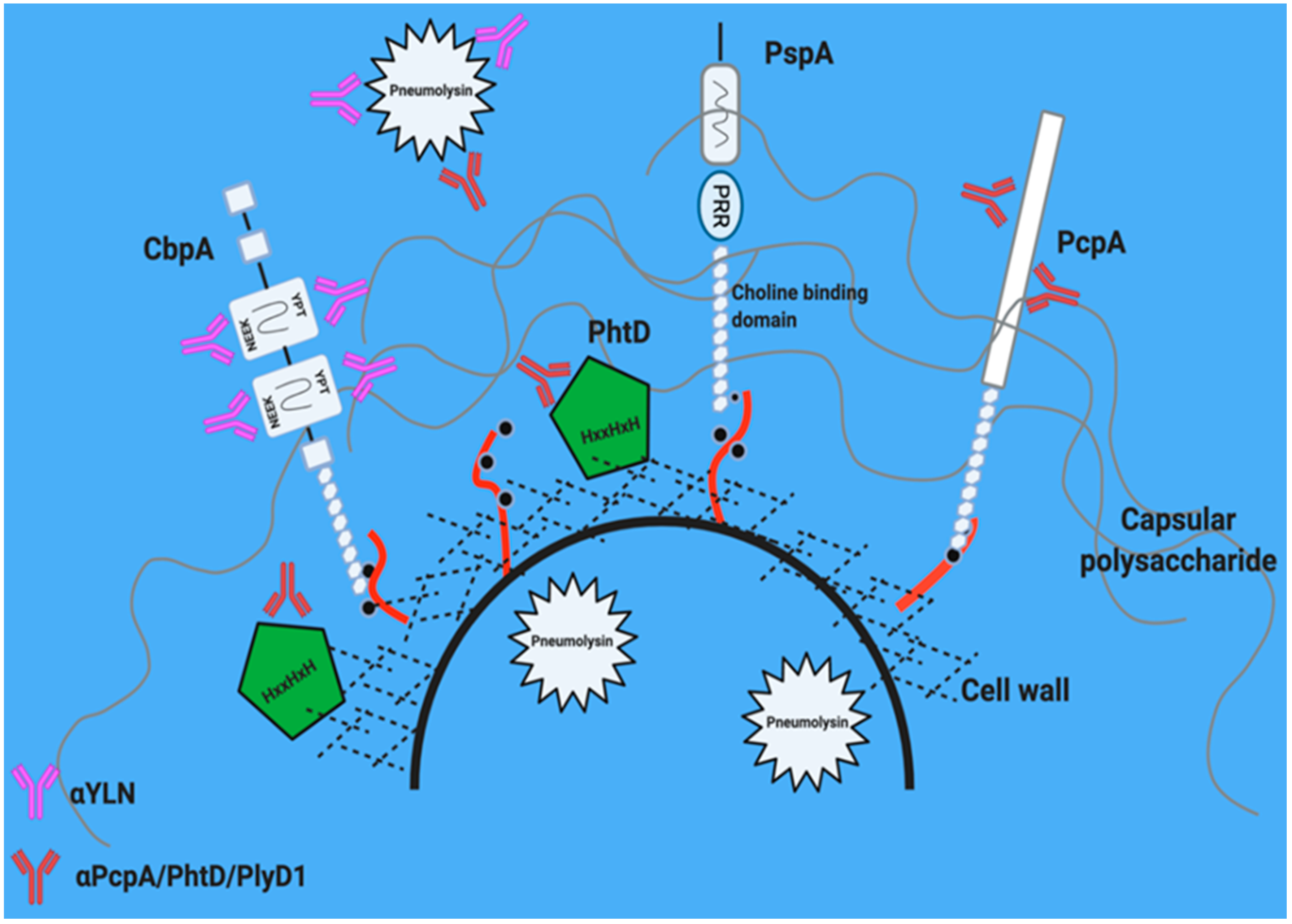 Vaccines 09 00209 g002