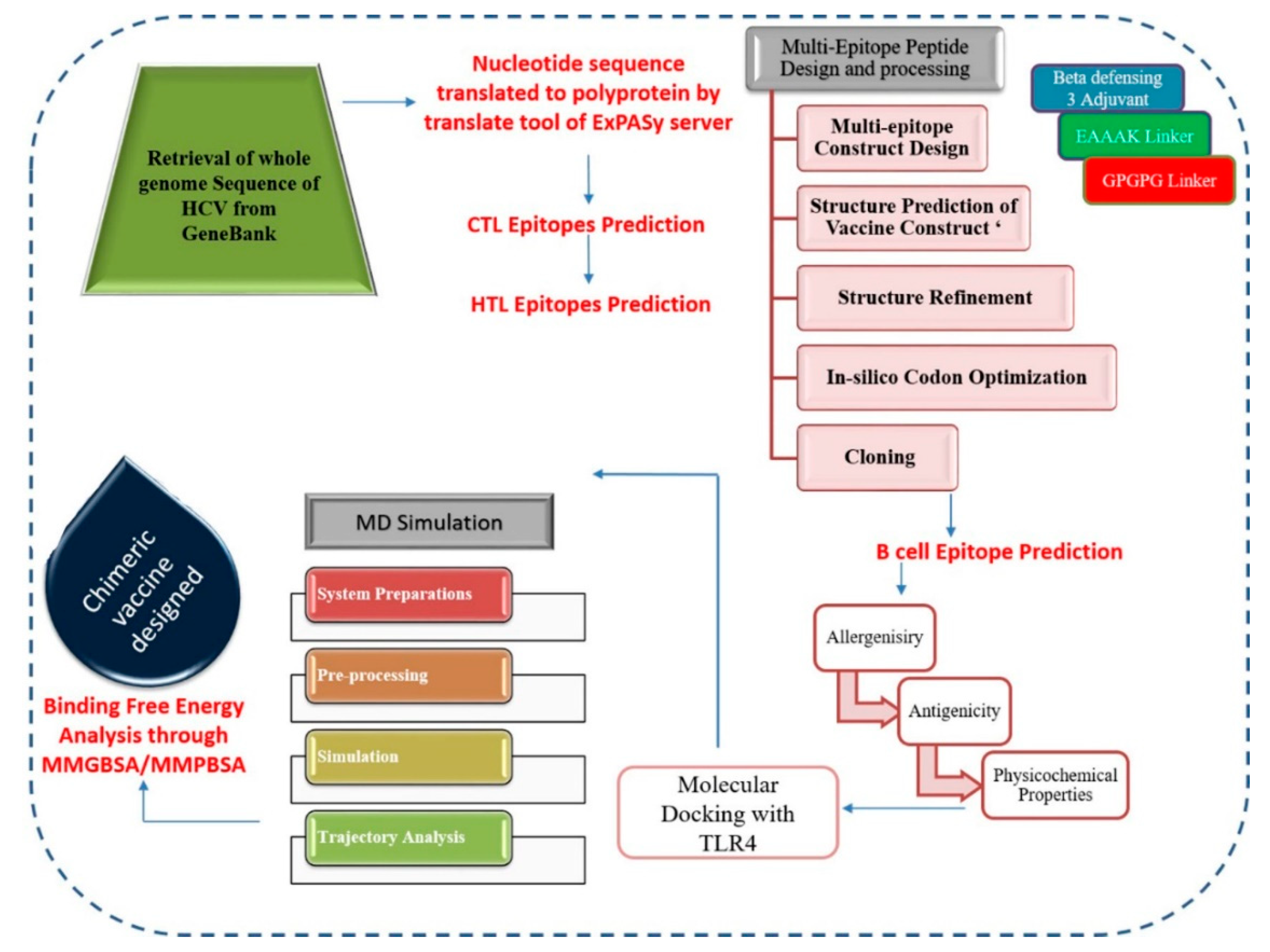 Vaccines | Free Full-Text | Immuno-Informatics Analysis of Pakistan ...