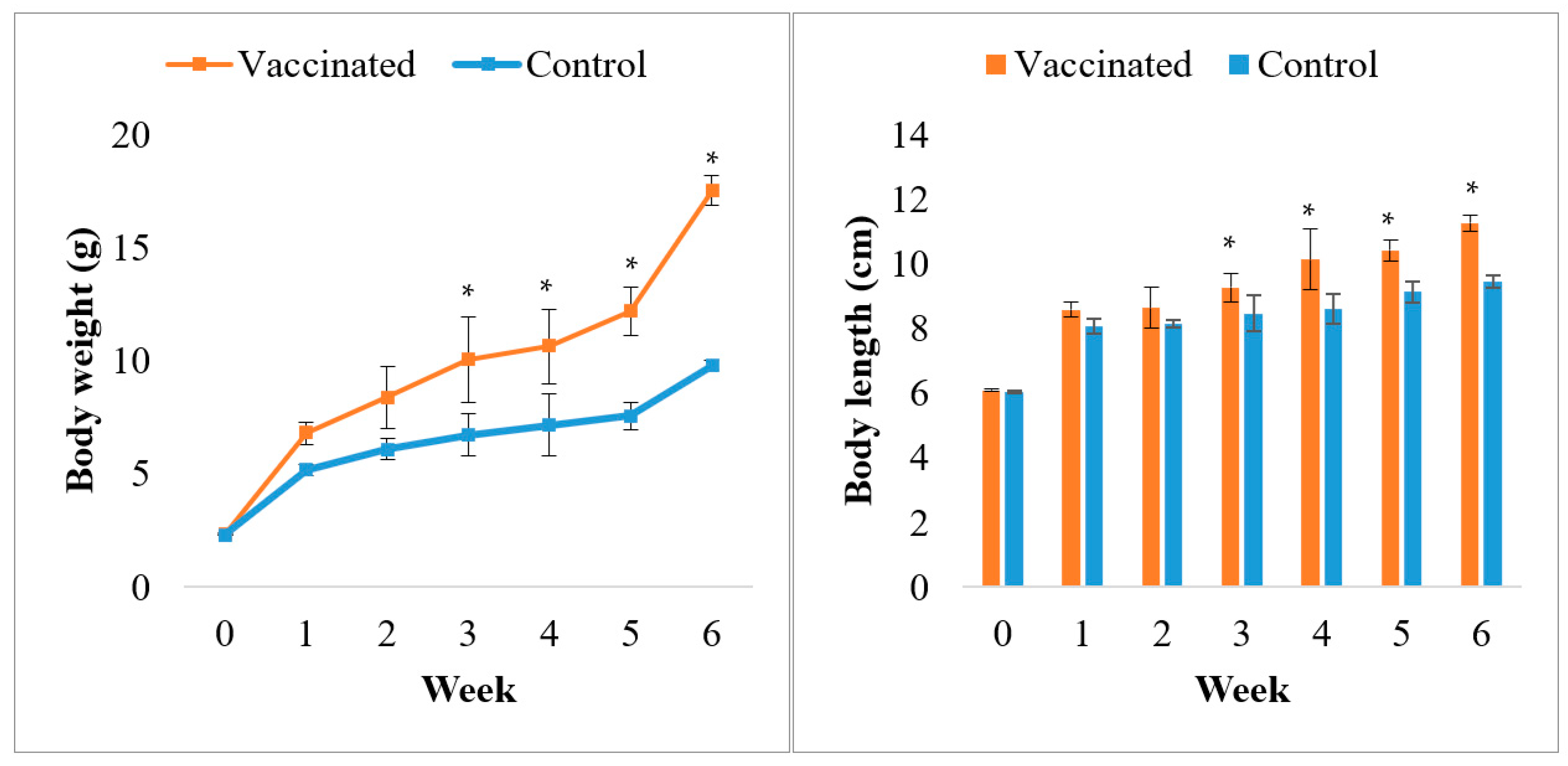 Vaccines  Free Full-Text  Vaccine Efficacy of a Newly Developed 