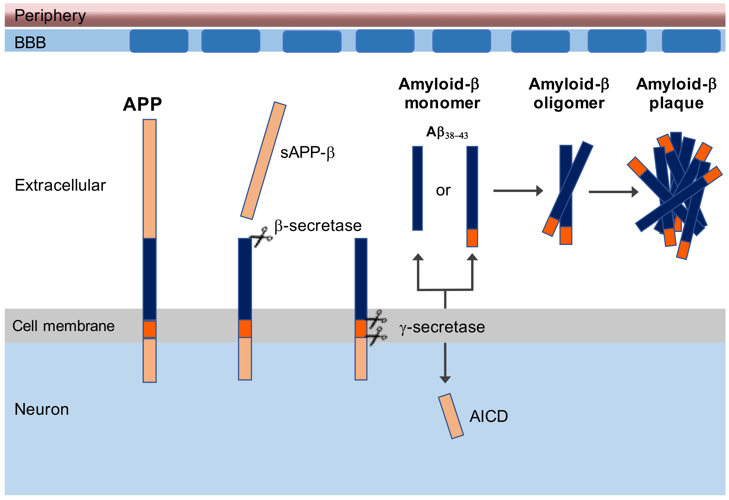Vaccines 09 00388 g001 Vaccines 09 00388 g001