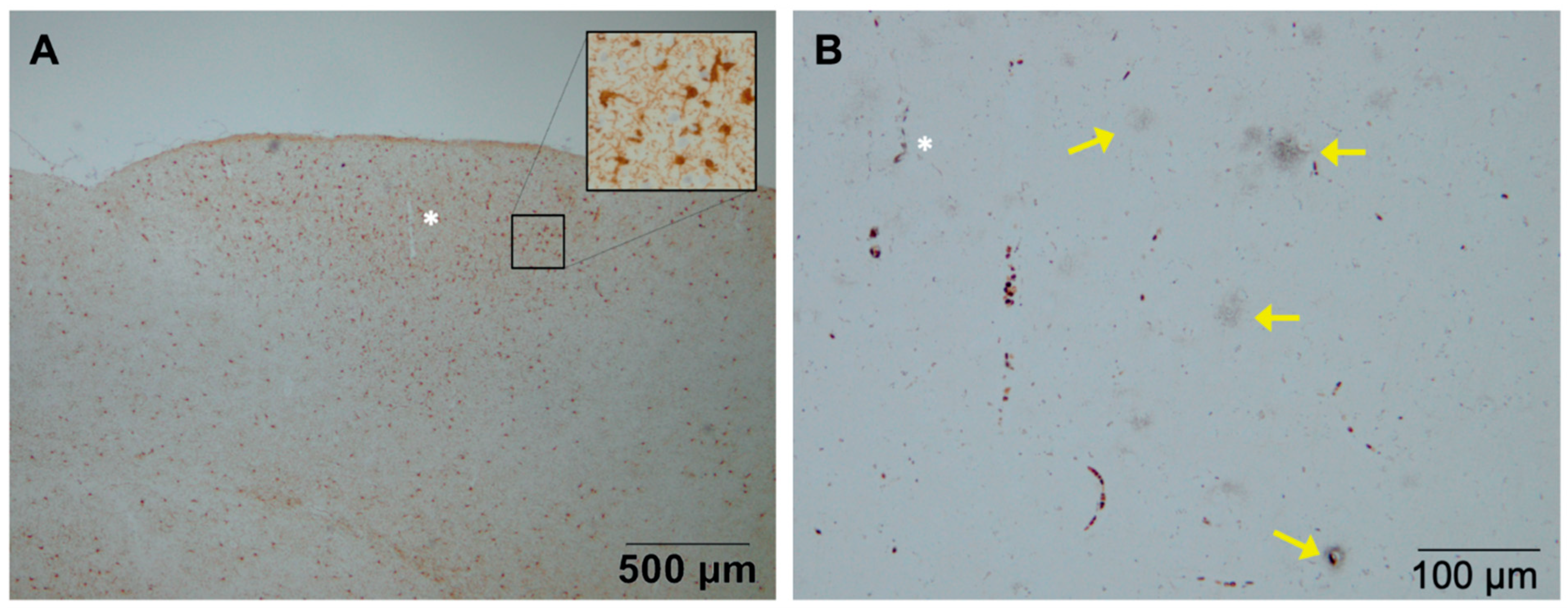 Vaccines 09 00388 g005 Vaccines 09 00388 g005