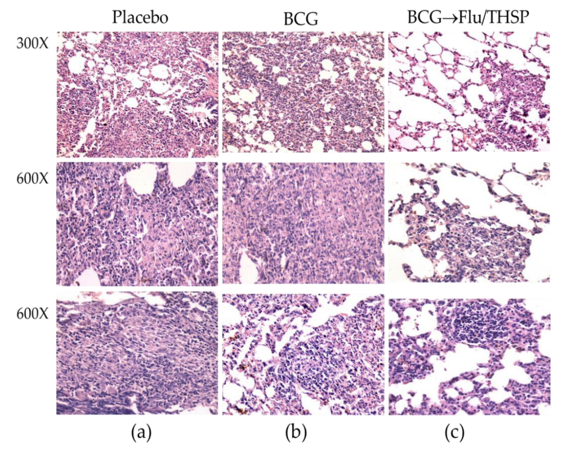 Vaccines 09 00394 g008 Vaccines 09 00394 g008