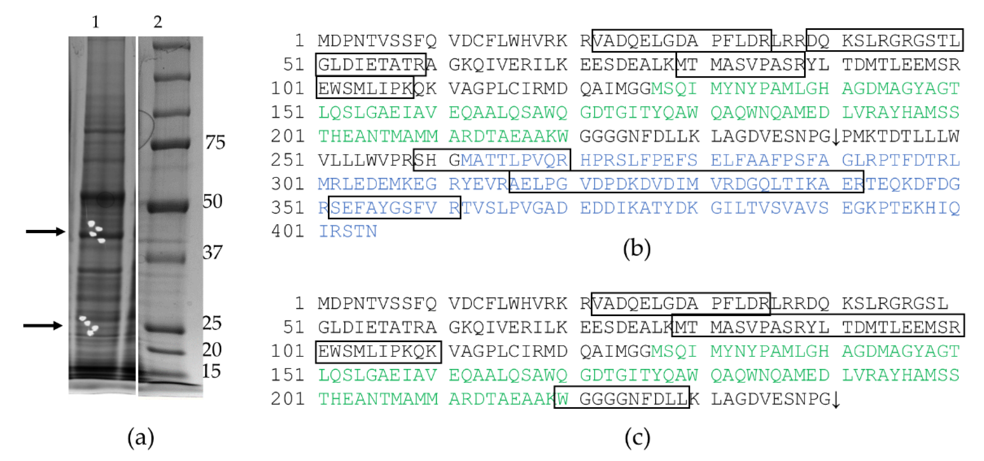 Vaccines 09 00394 g0a1 Vaccines 09 00394 g0a1