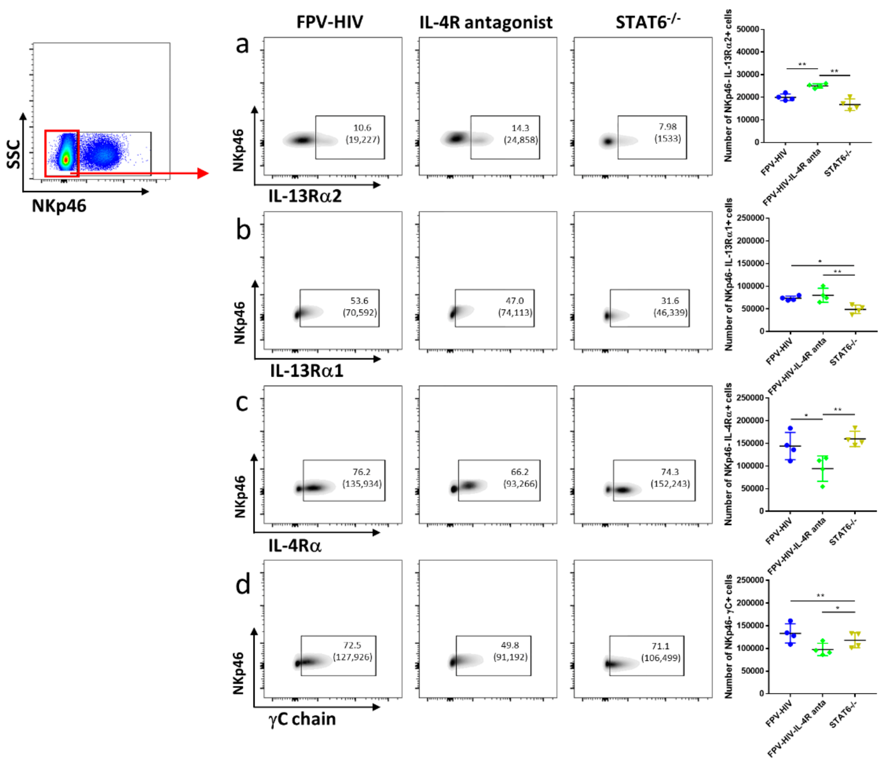 Vaccines 09 00440 g003 Vaccines 09 00440 g003