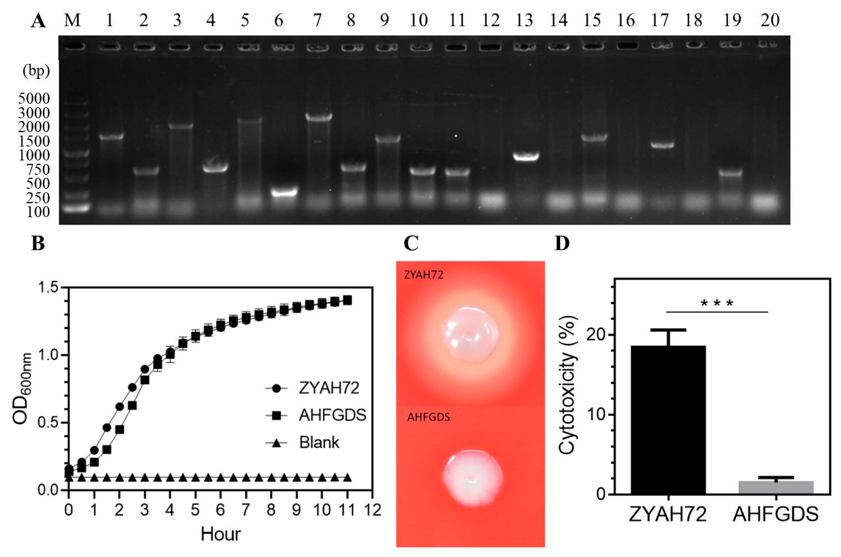 Vaccines Free Full Text Construction And Characterization Of An Aeromonas Hydrophila Multi Gene Deletion Strain And Evaluation Of Its Potential As A Live Attenuated Vaccine In Grass Carp Html