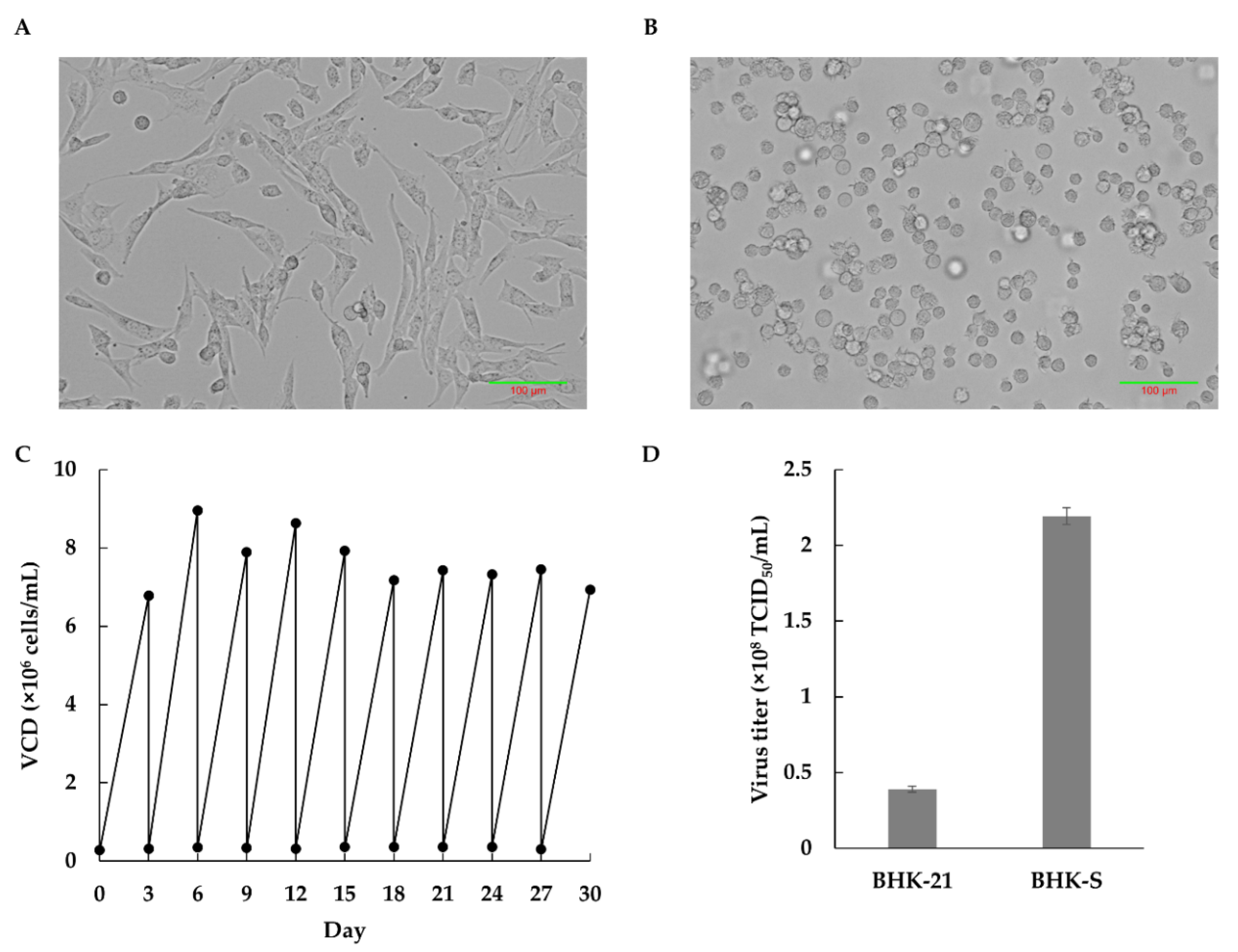 Vaccines 09 00505 g001