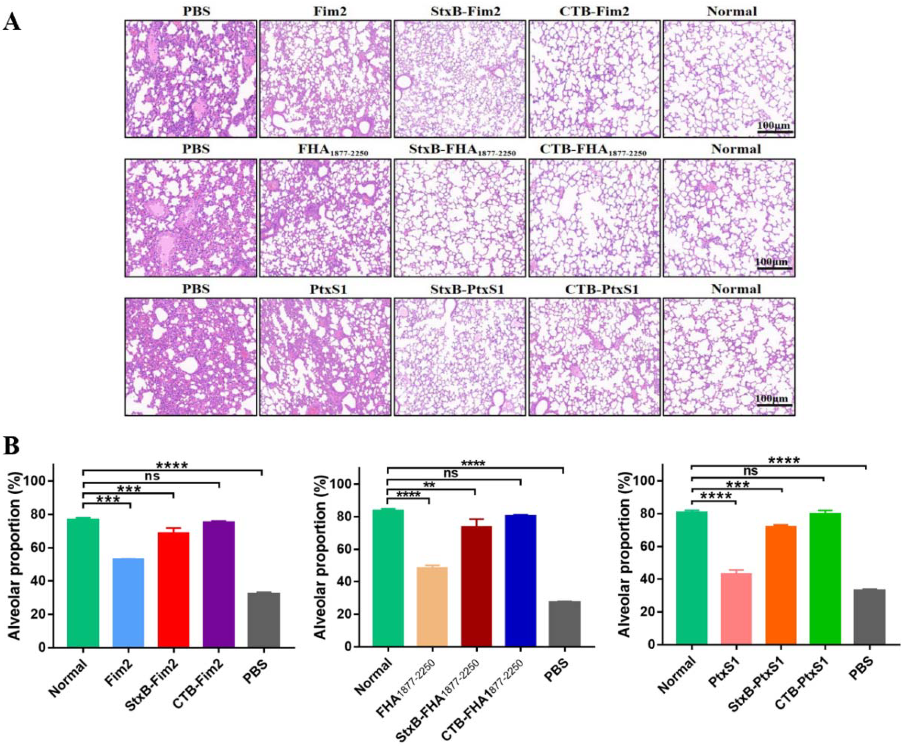Vaccines 09 00542 g005 Vaccines 09 00542 g005