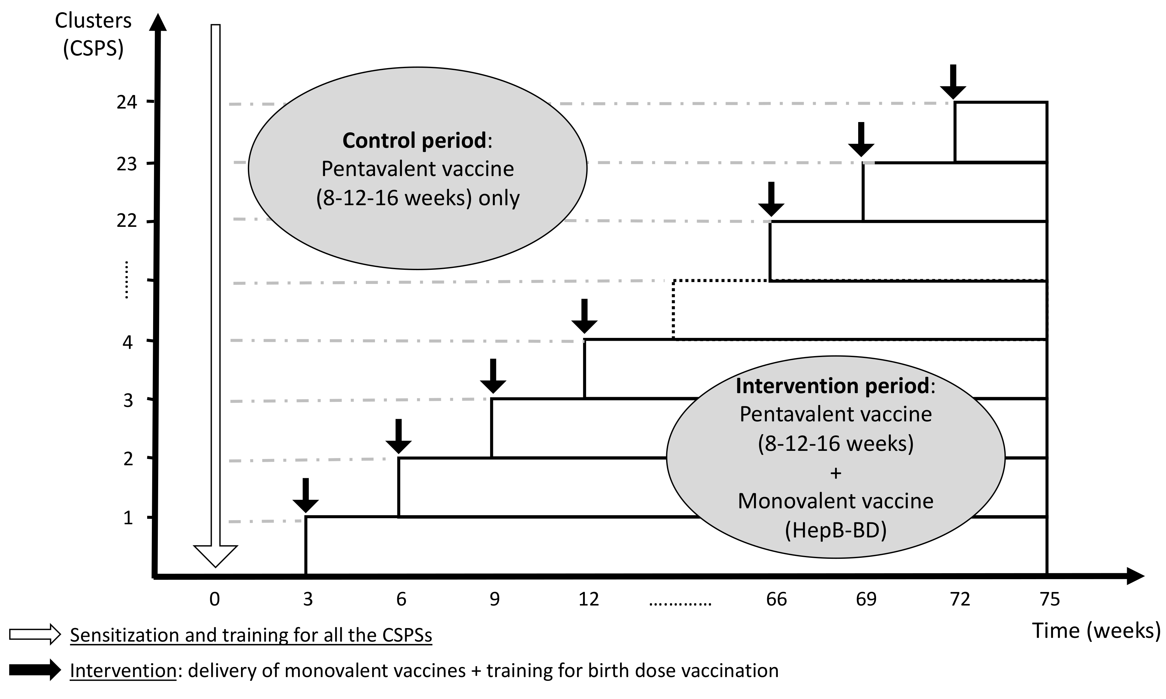 Vaccines | Free Full-Text | Impact of Introducing Hepatitis B Birth Dose  Vaccines into the Infant Immunization Program in Burkina Faso: Study  Protocol for a Stepped Wedge Cluster Randomized Trial (NéoVac Study)