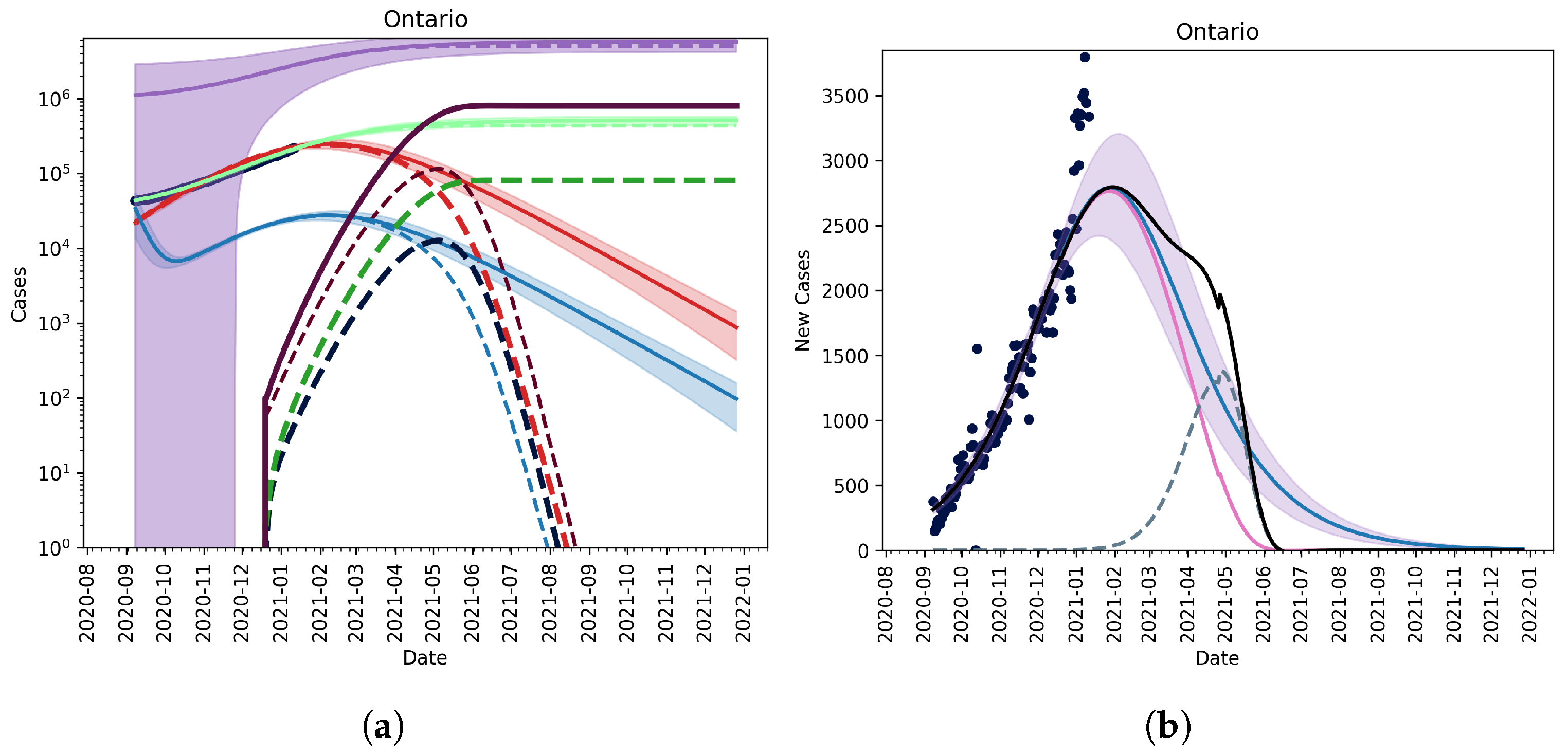 Vaccines 09 00592 g006 Vaccines 09 00592 g006