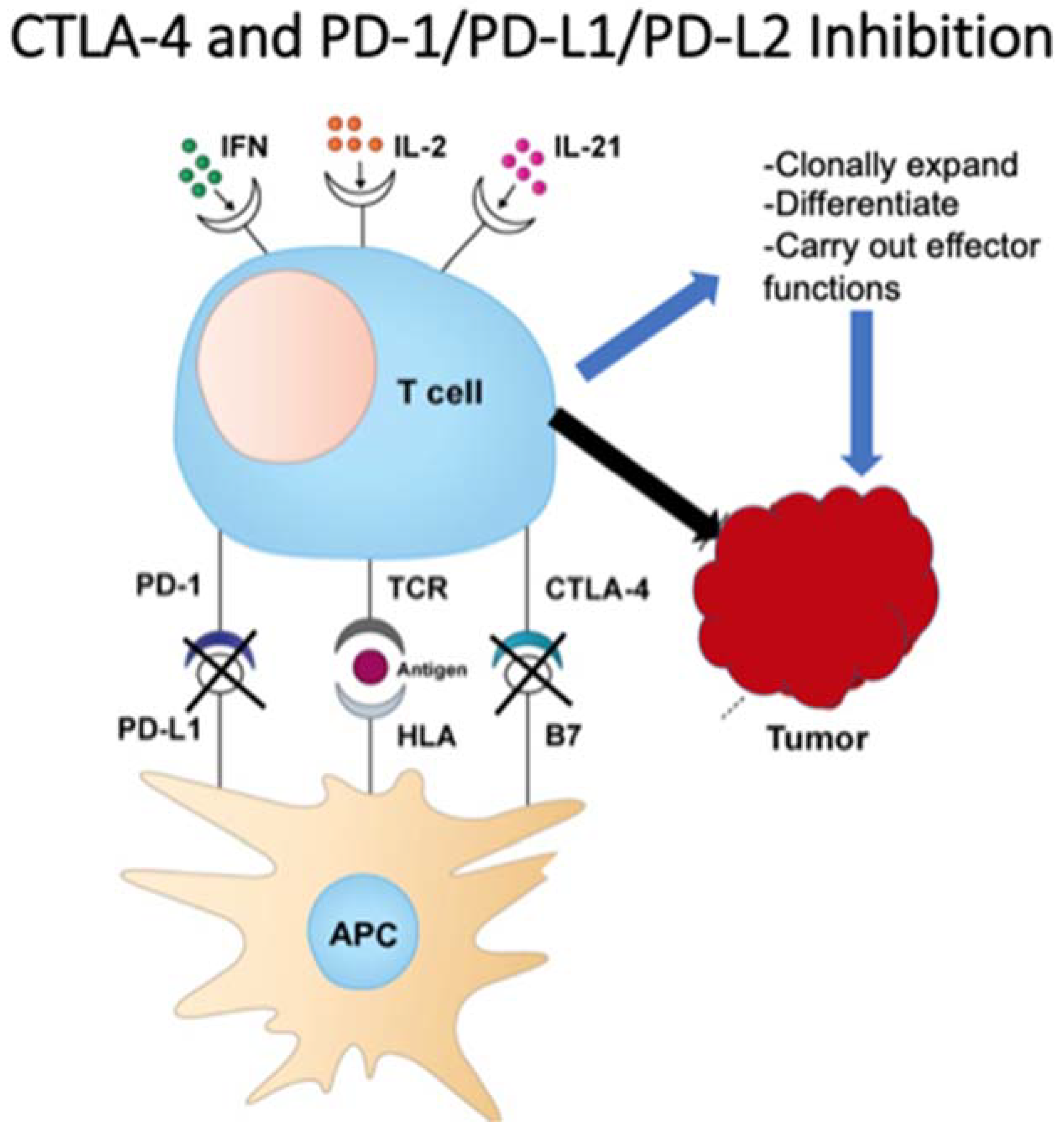 https://www.mdpi.com/vaccines/vaccines-09-00614/article_deploy/html/images/vaccines-09-00614-g001.png