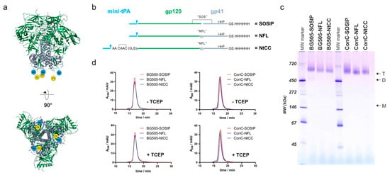 Surface-Functionalized Silica-Coated Calcium Phosphate Nanoparticles  Efficiently Deliver DNA-Based HIV-1 Trimeric Envelope Vaccines against  HIV-1