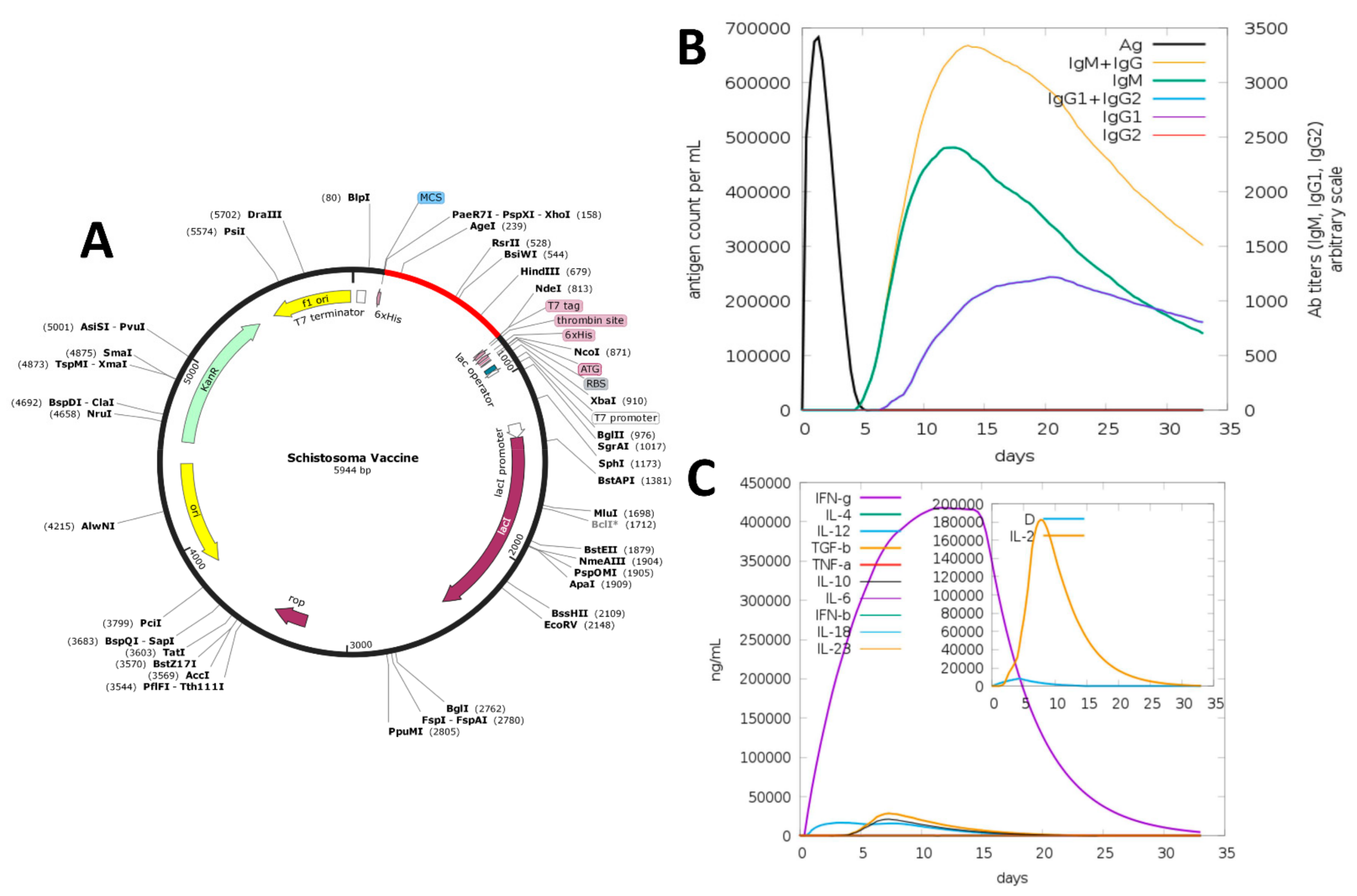 Vaccines 09 00658 g002