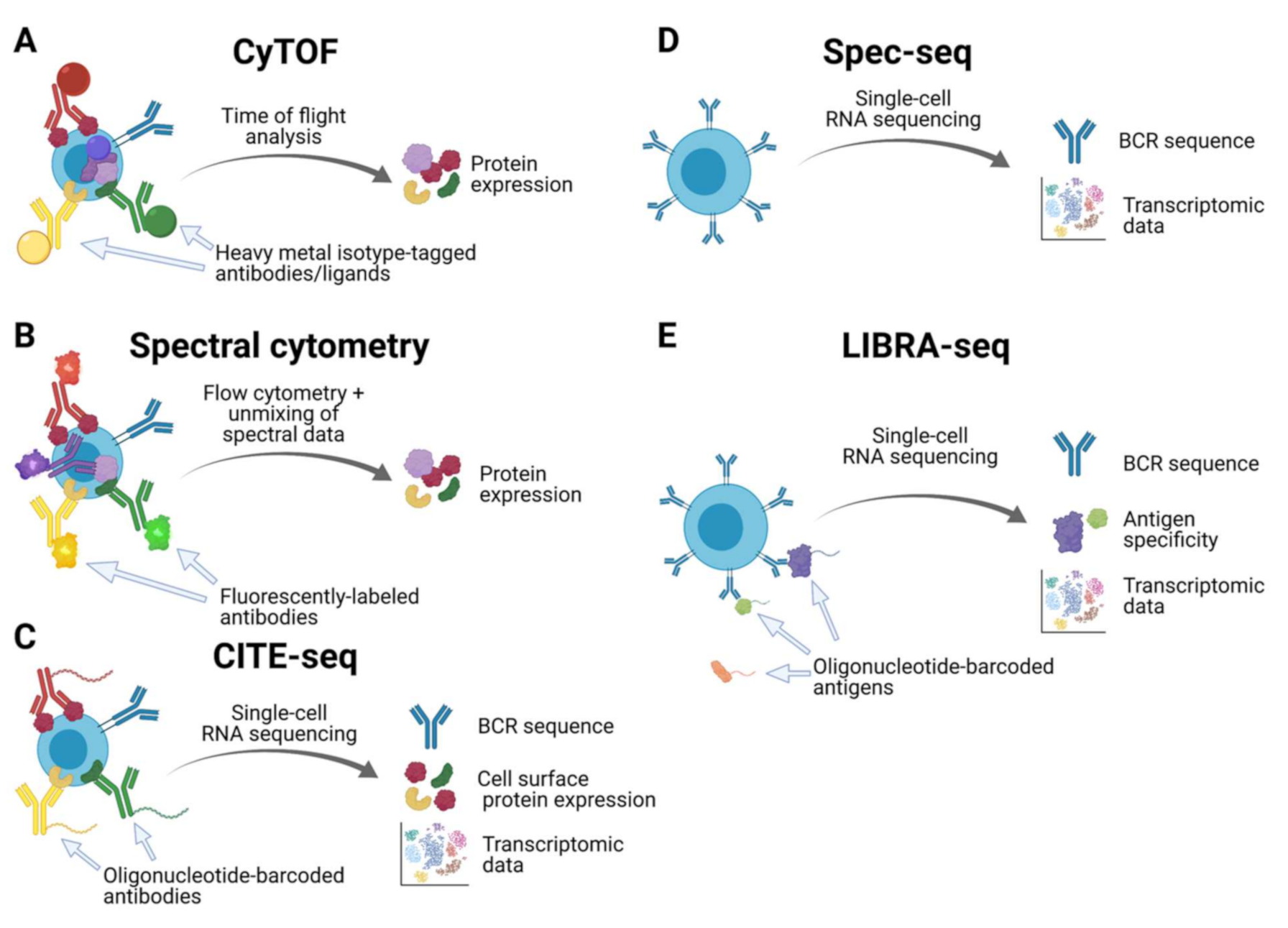 Vaccines 09 00711 g001