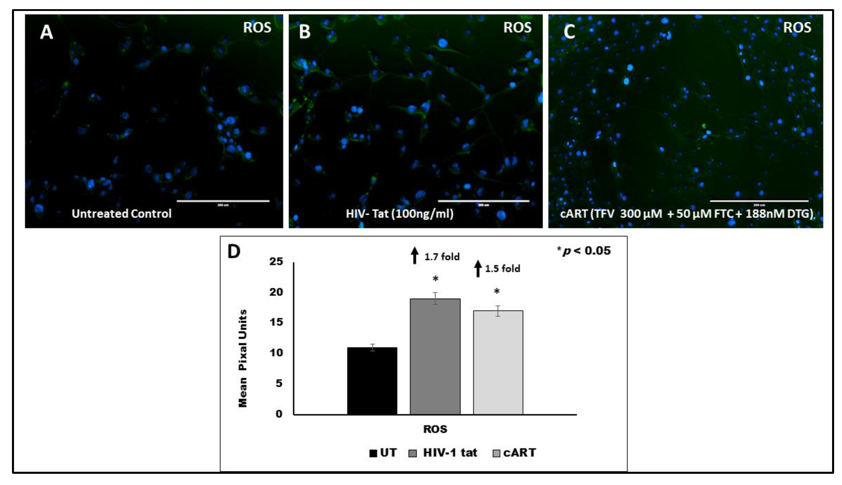 Vaccines 09 00721 g006 Vaccines 09 00721 g006