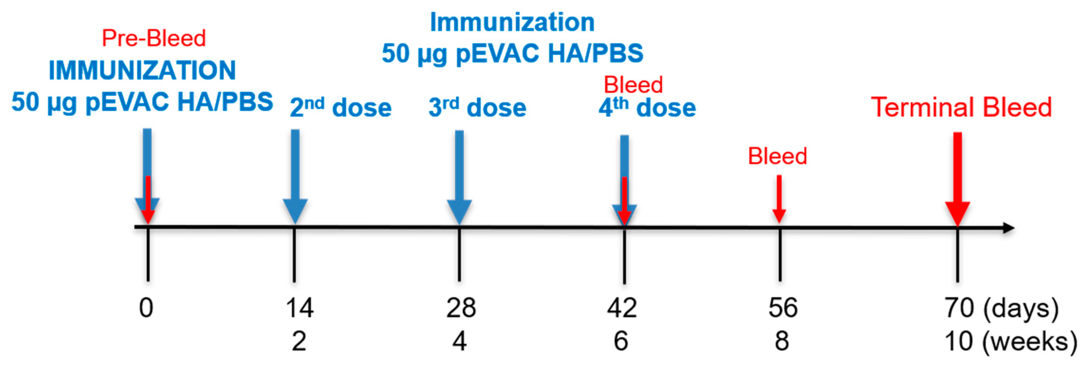 Vaccines 09 00741 g001 Vaccines 09 00741 g001