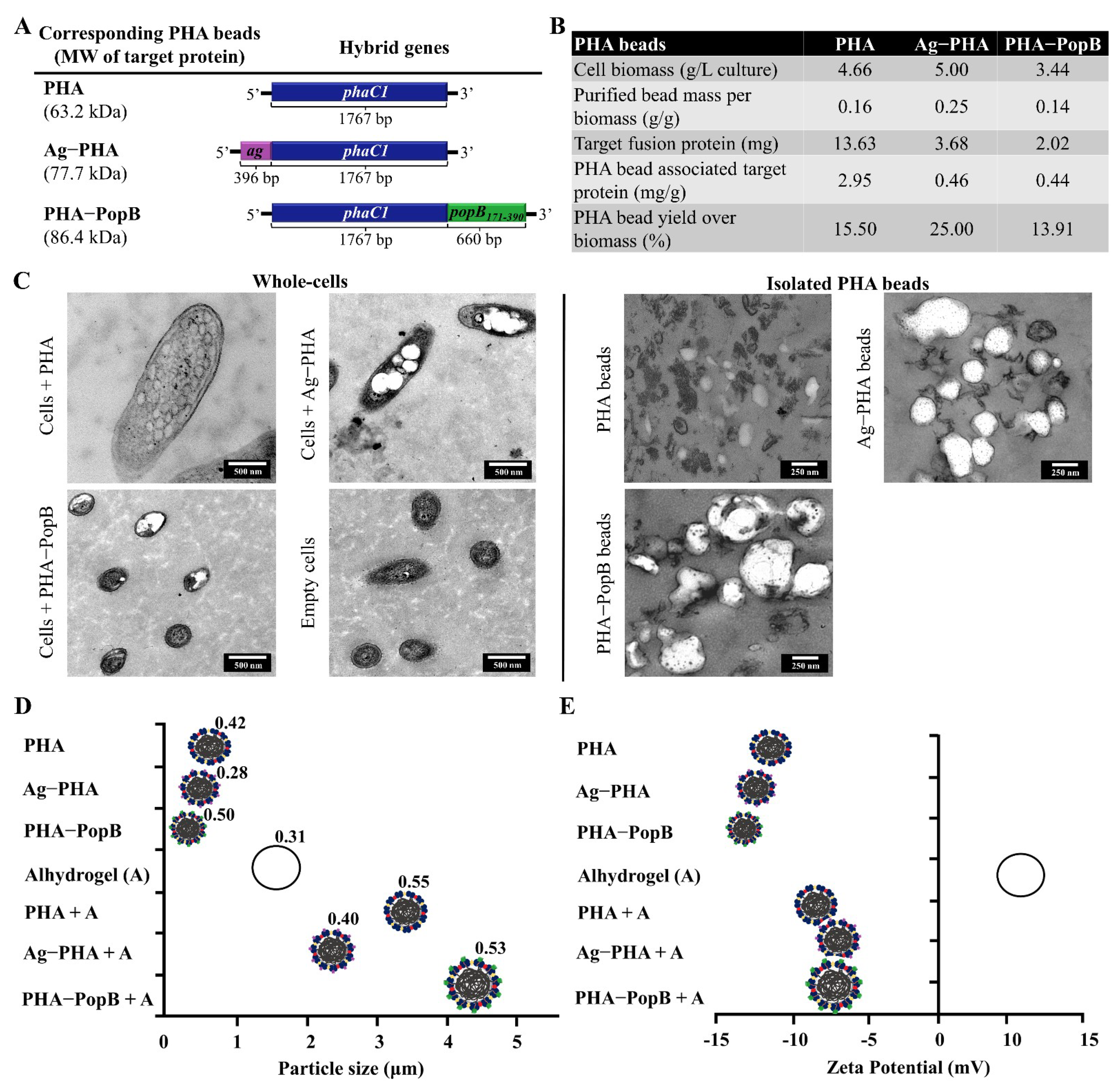 Vaccines 09 00803 g002