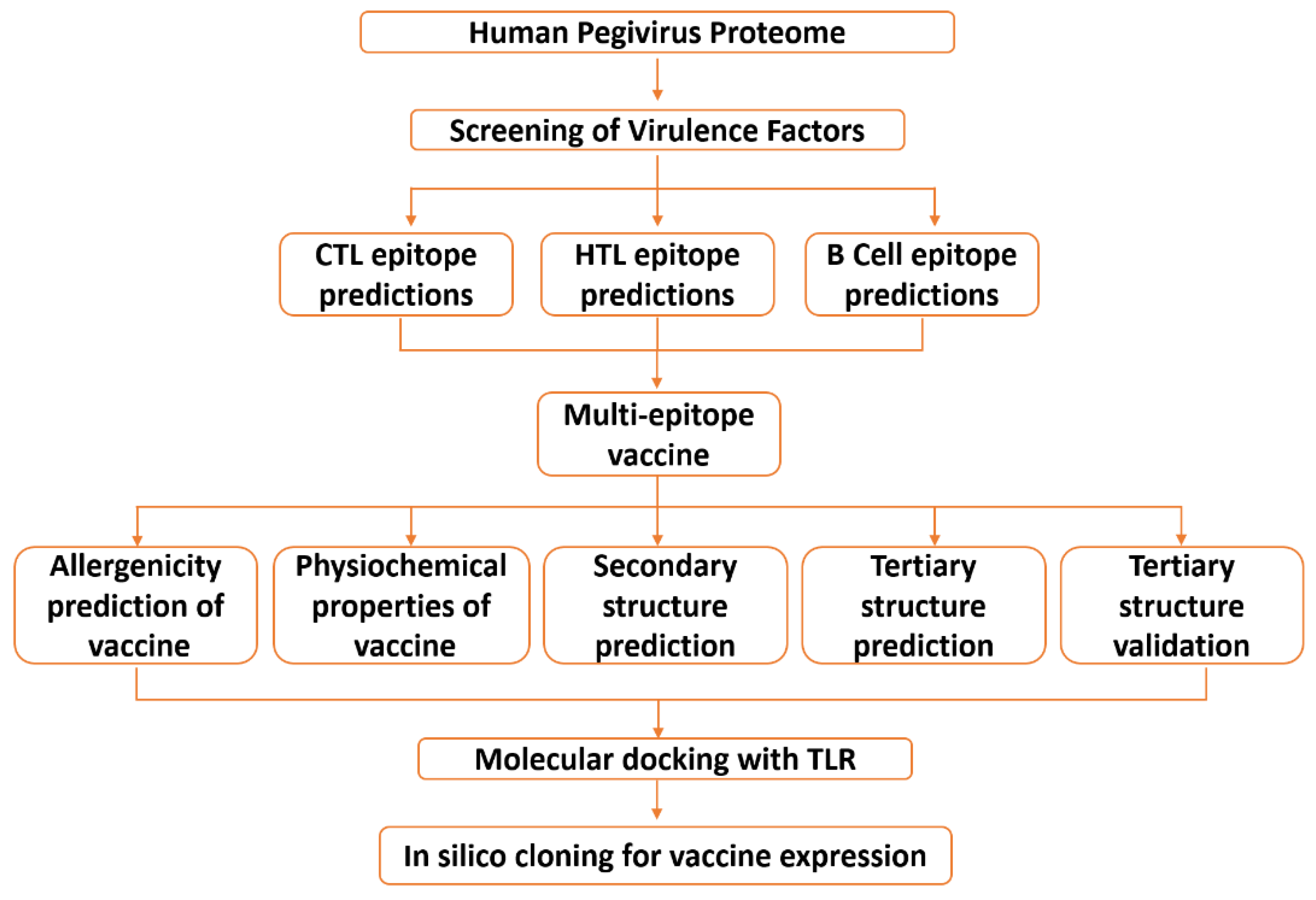 Vaccines 09 00818 g001