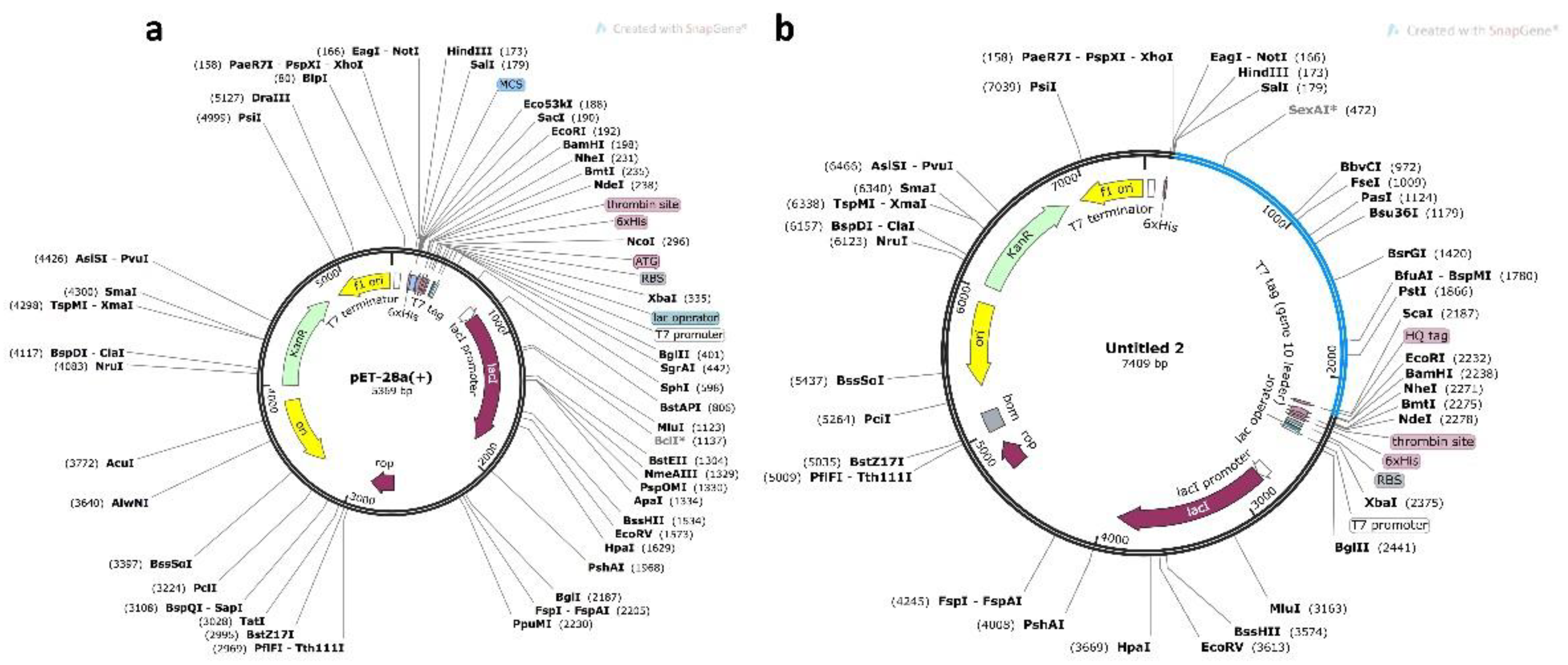 Vaccines 09 00818 g006