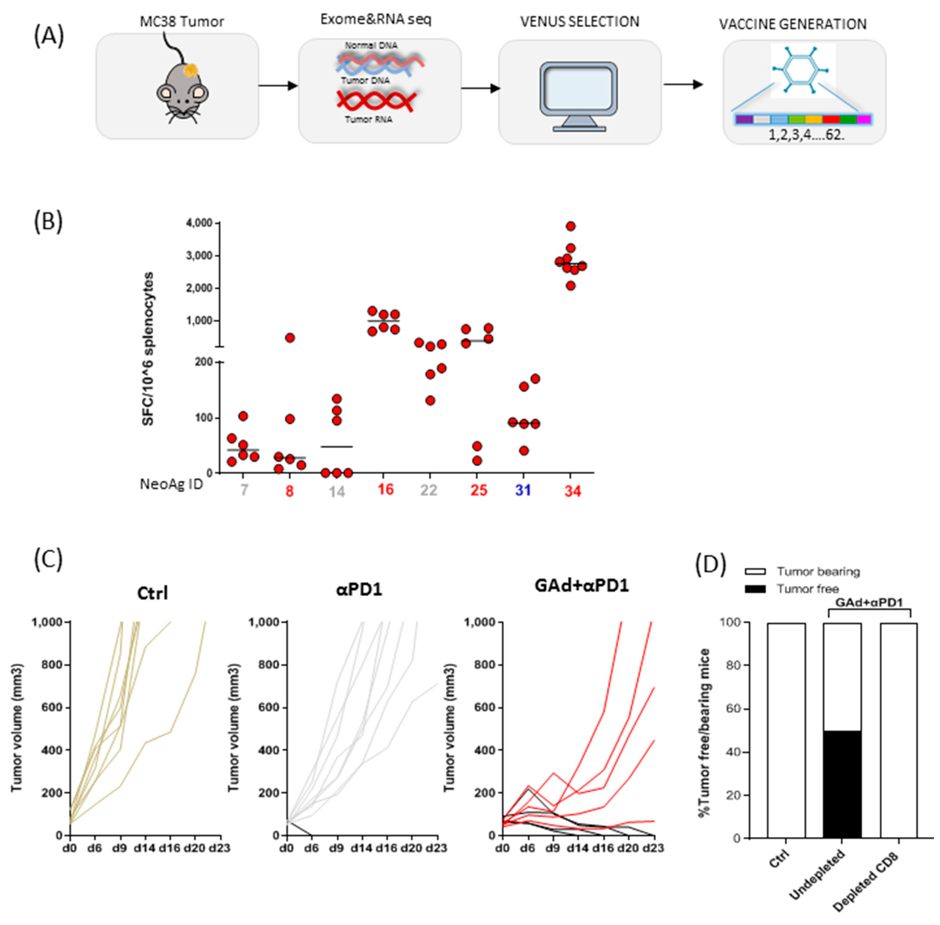 Vaccines 09 00880 g004