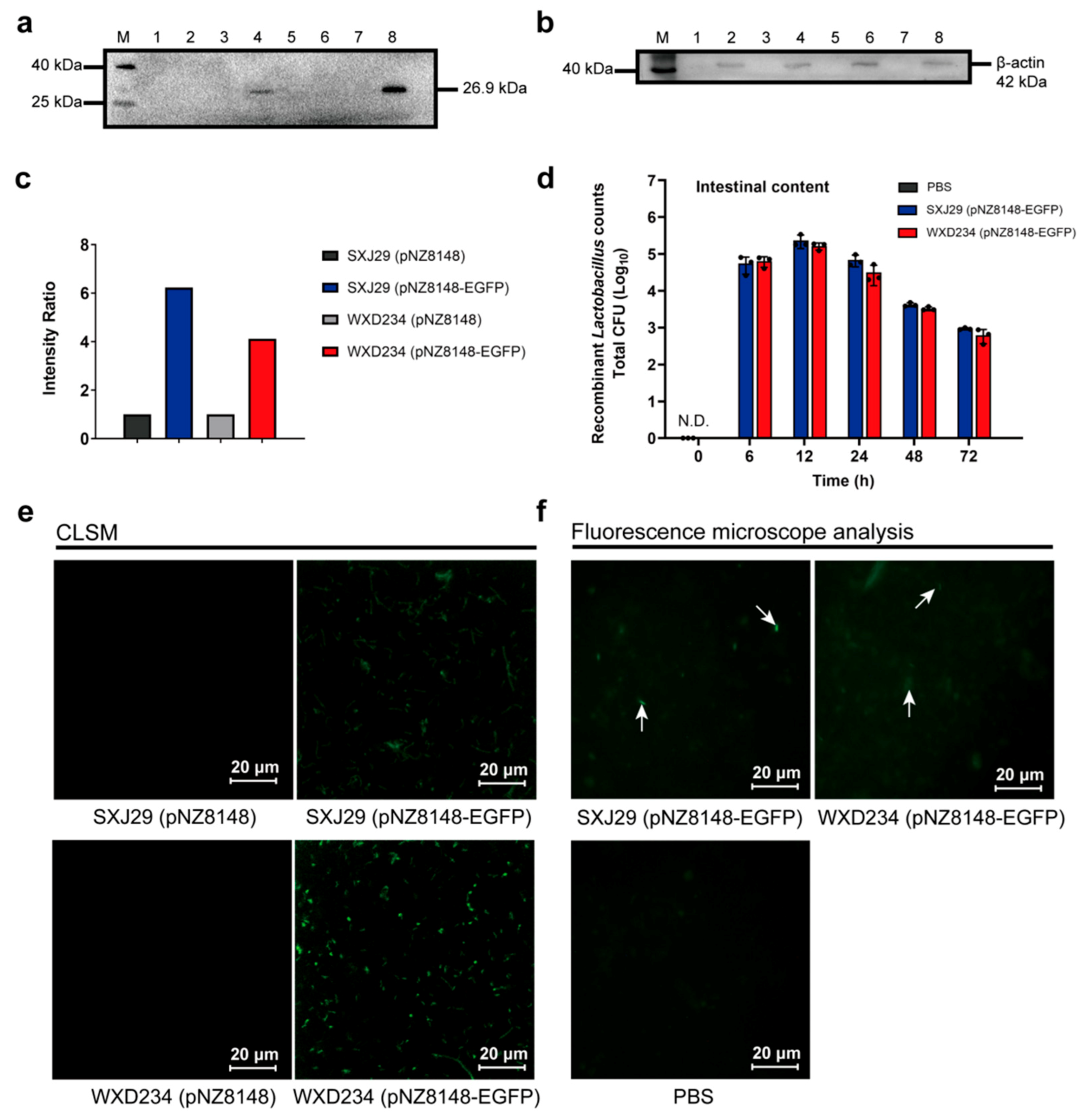 Vaccines 09 00984 g003
